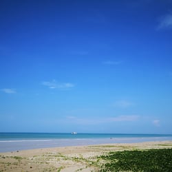 Accommodatie ligt op het strand, ligstoelen, strandlakens