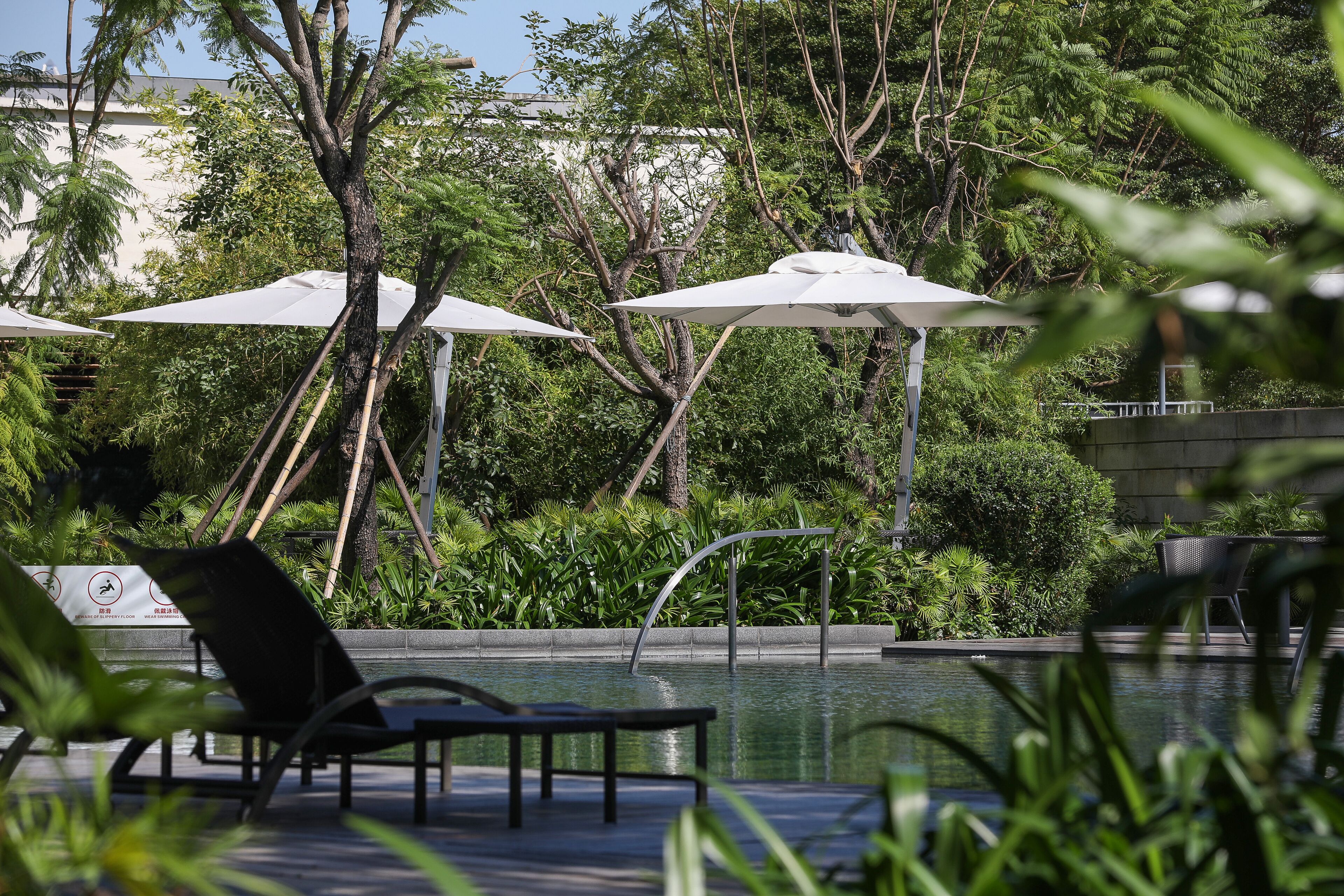 A poolside area with lounge chairs, umbrellas, and lush greenery.