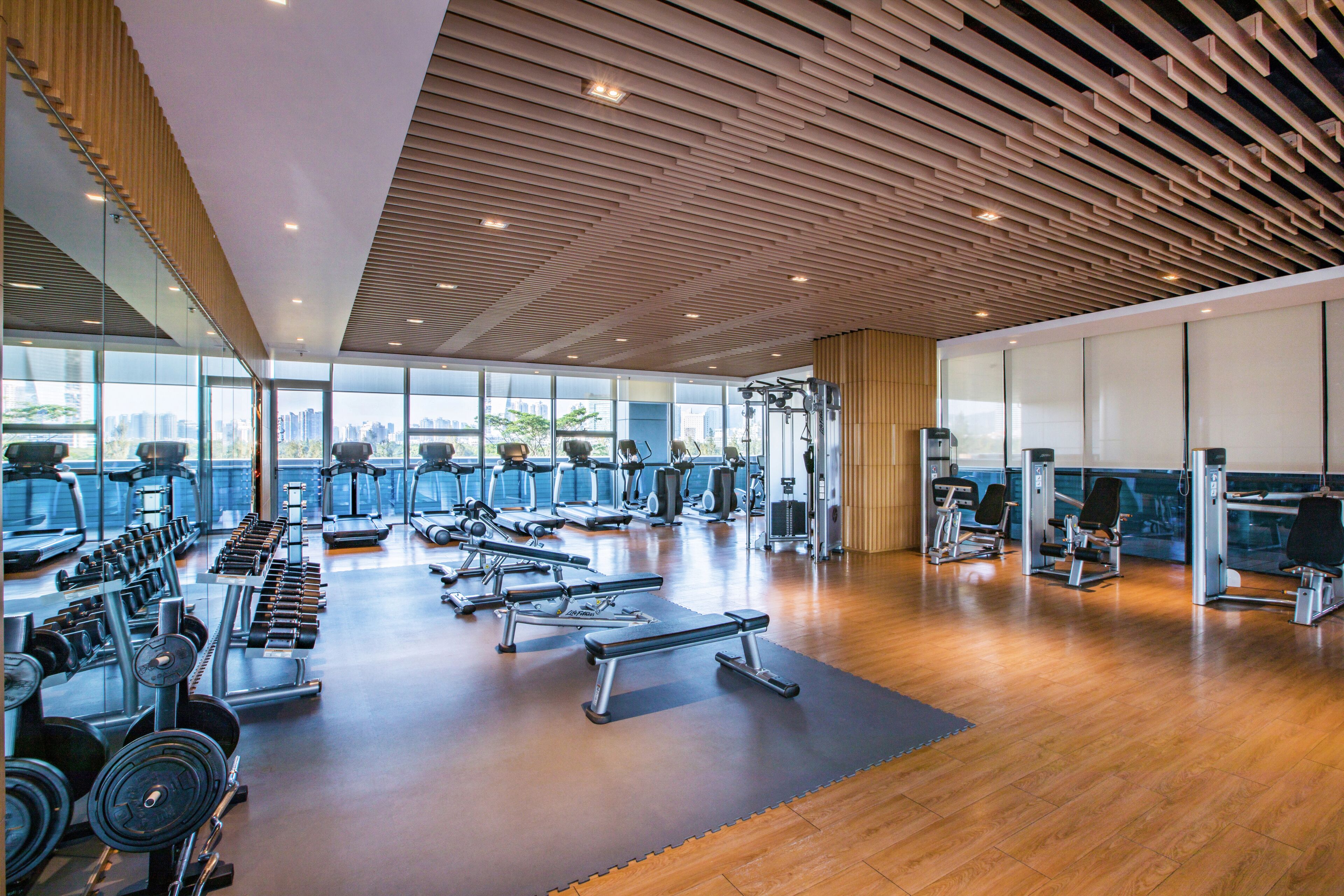 Gimnasio