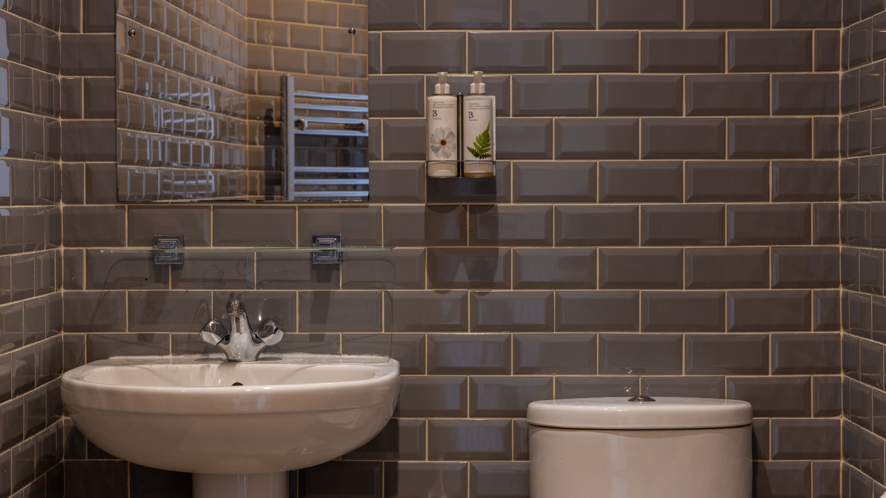 A bathroom with a sink, toilet, and two hand soap dispensers on a shelf.