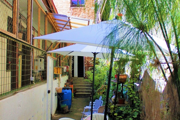 Budget Room for 6 People | Terrace/patio