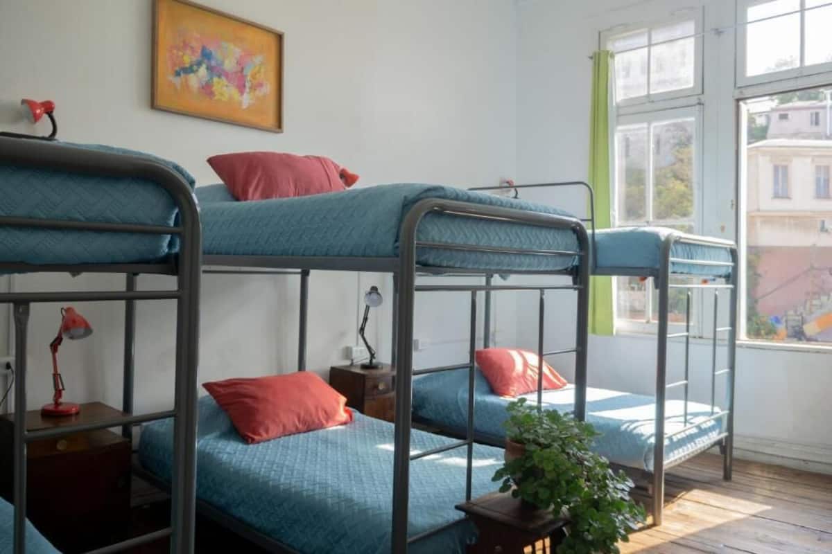 Une chambre de dortoir avec des lits superposés, un bureau avec une lampe, une petite plante et une fenêtre donnant sur des immeubles.