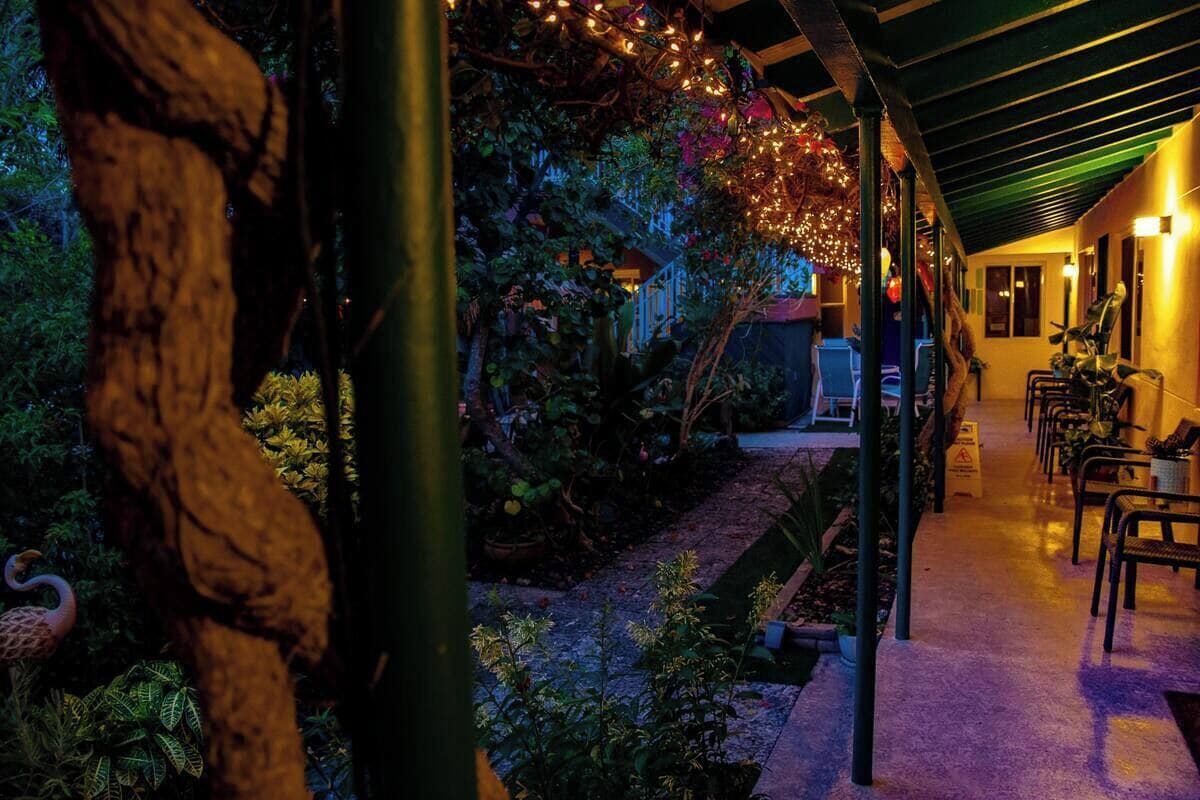 Un espacio exterior cubierto con un sendero, sillas y luces colgantes.