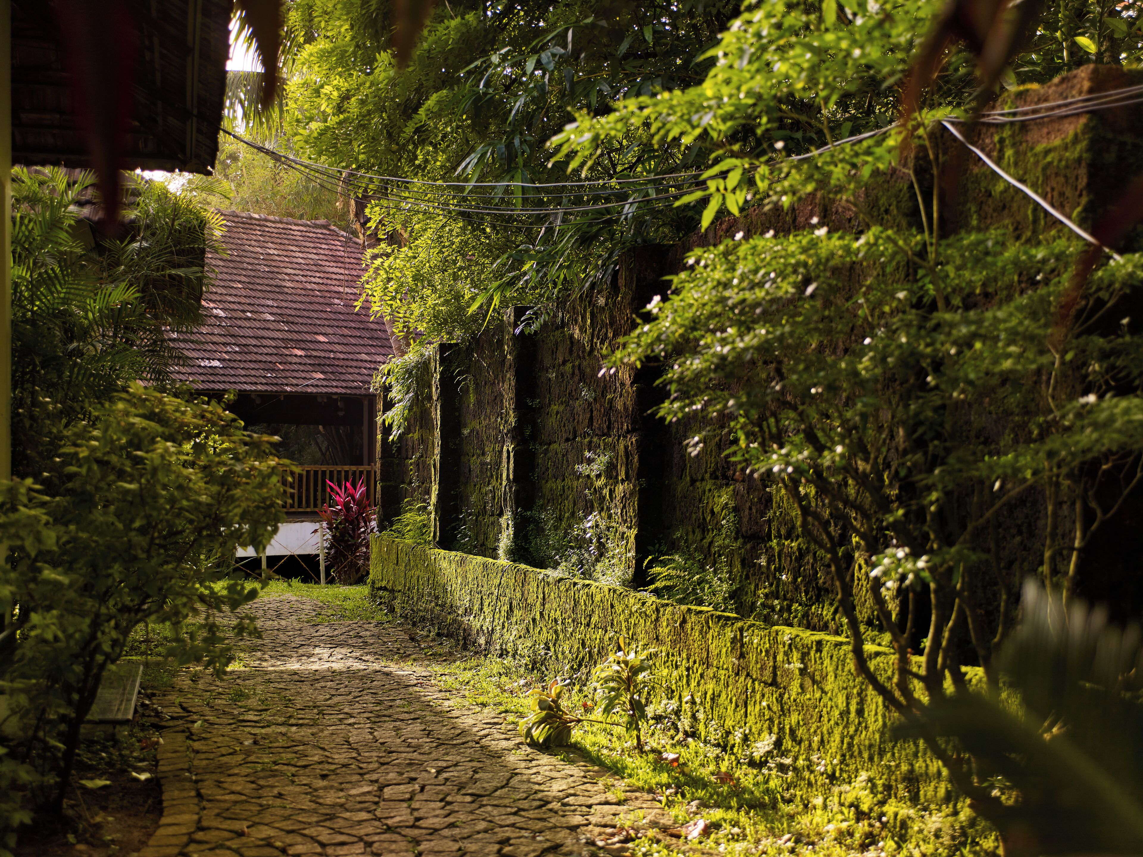 Habitació | Caixa forta a l'habitació, escriptori i planxa i posts de planxar 