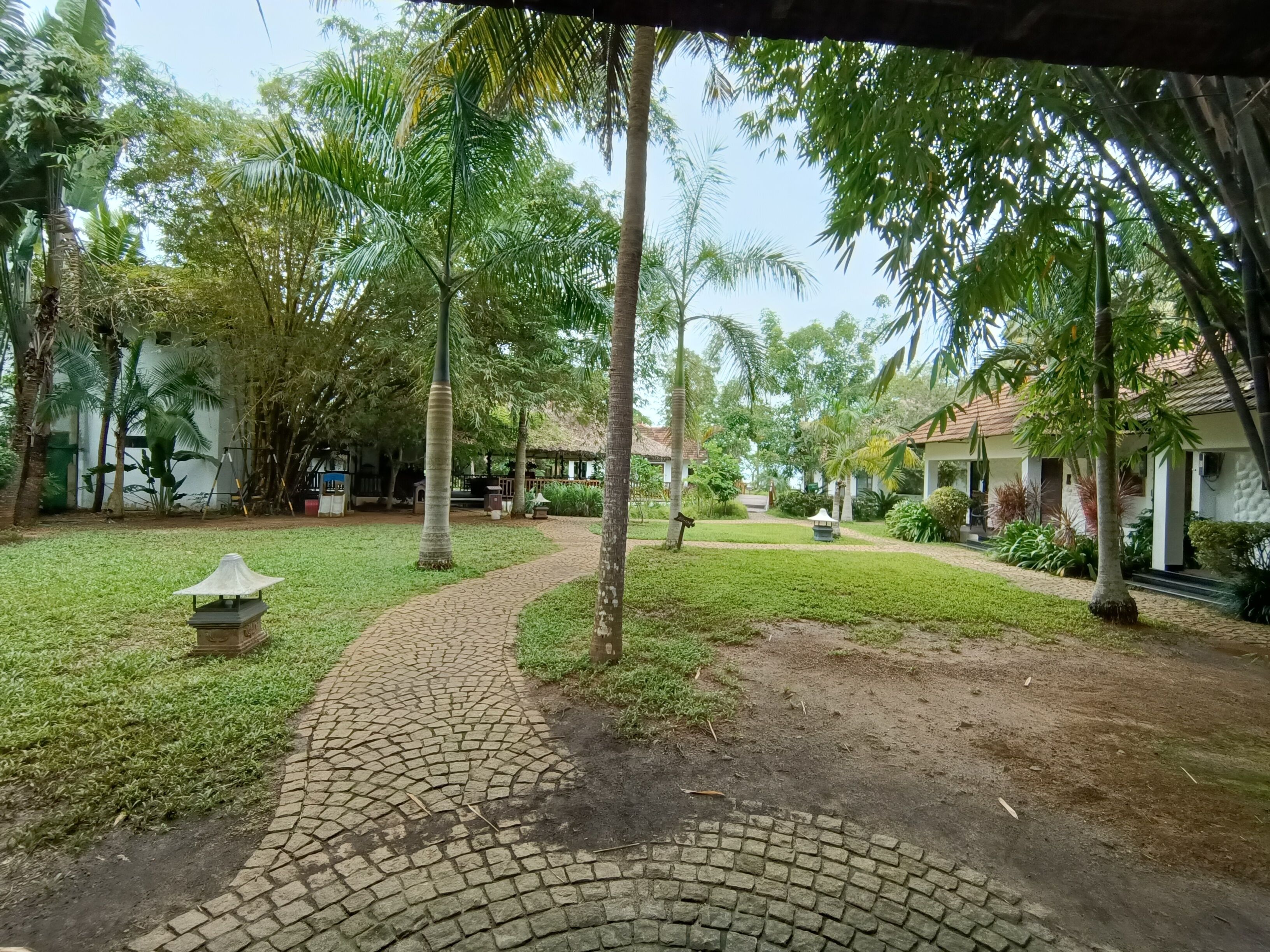 A paved pathway in a lush garden with palm trees and a gazebo.