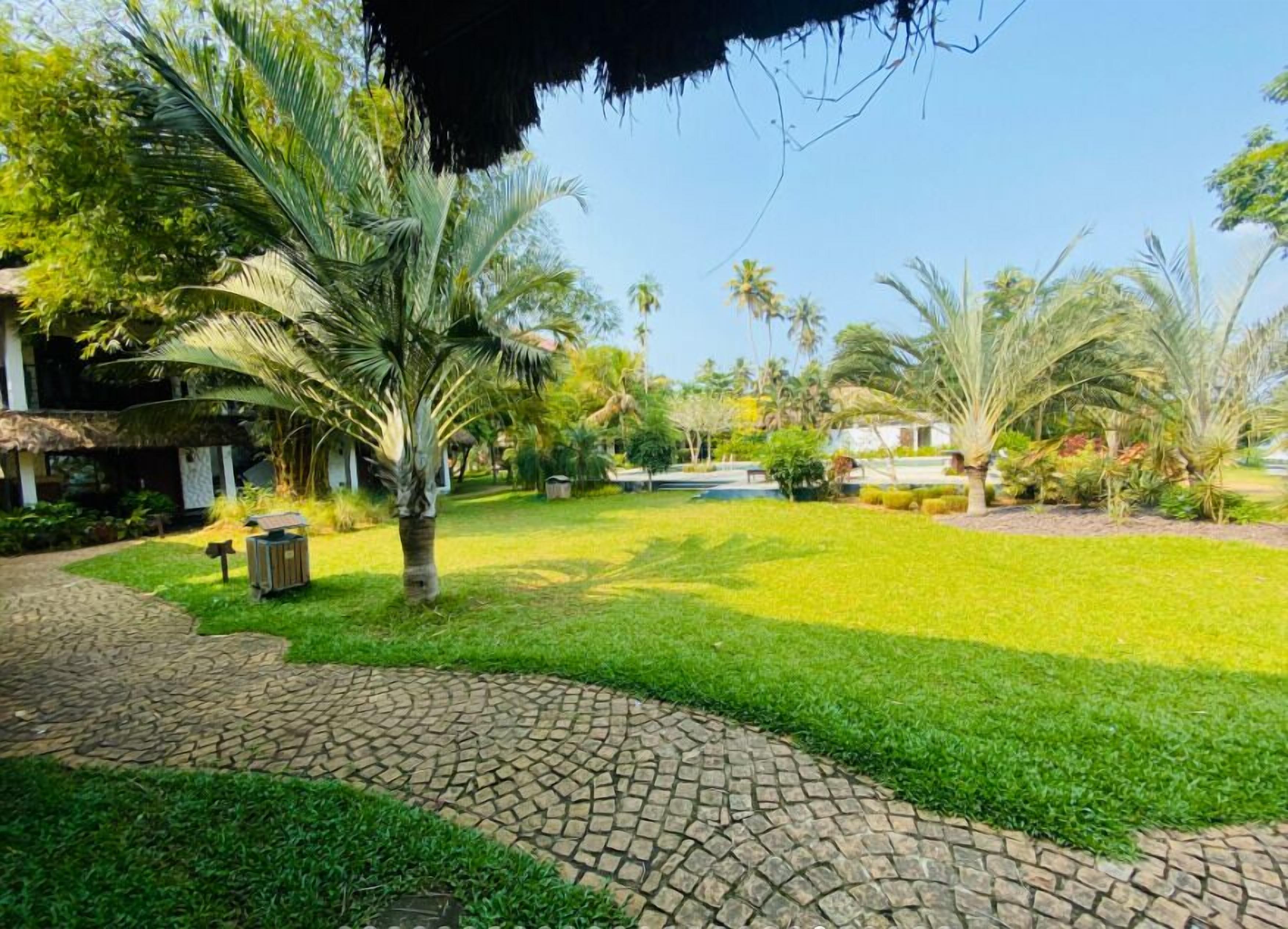 A well-maintained garden with a paved walkway, palm trees, and a clear sky.