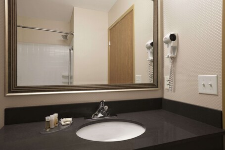 Days Inn Suites by Wyndham Winnipeg Airport Manitoba - Image 10
