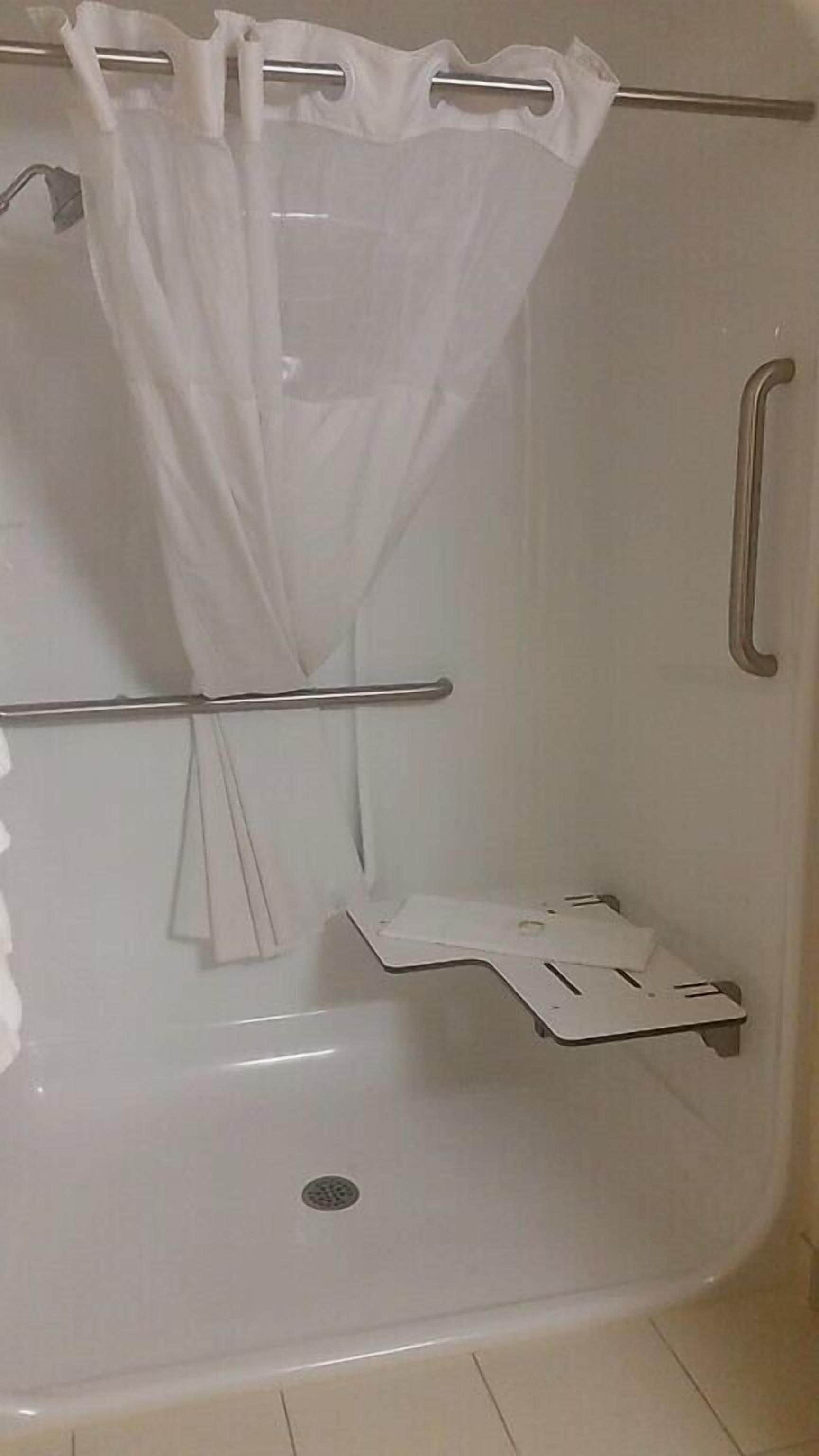 standard room, 1 king bed, accessible, non smoking | bathroom shower