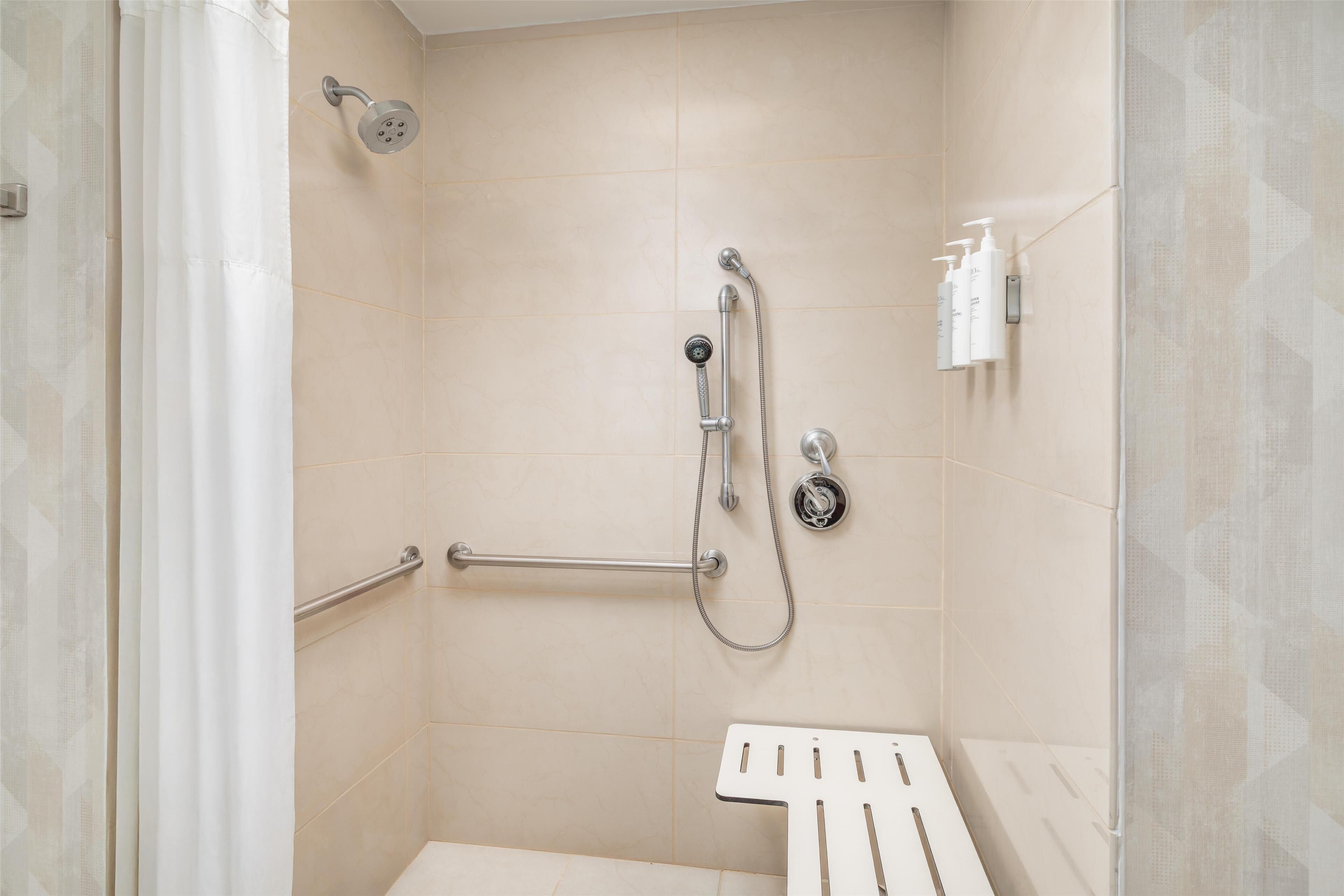 room, 1 king bed, accessible, non smoking | bathroom shower