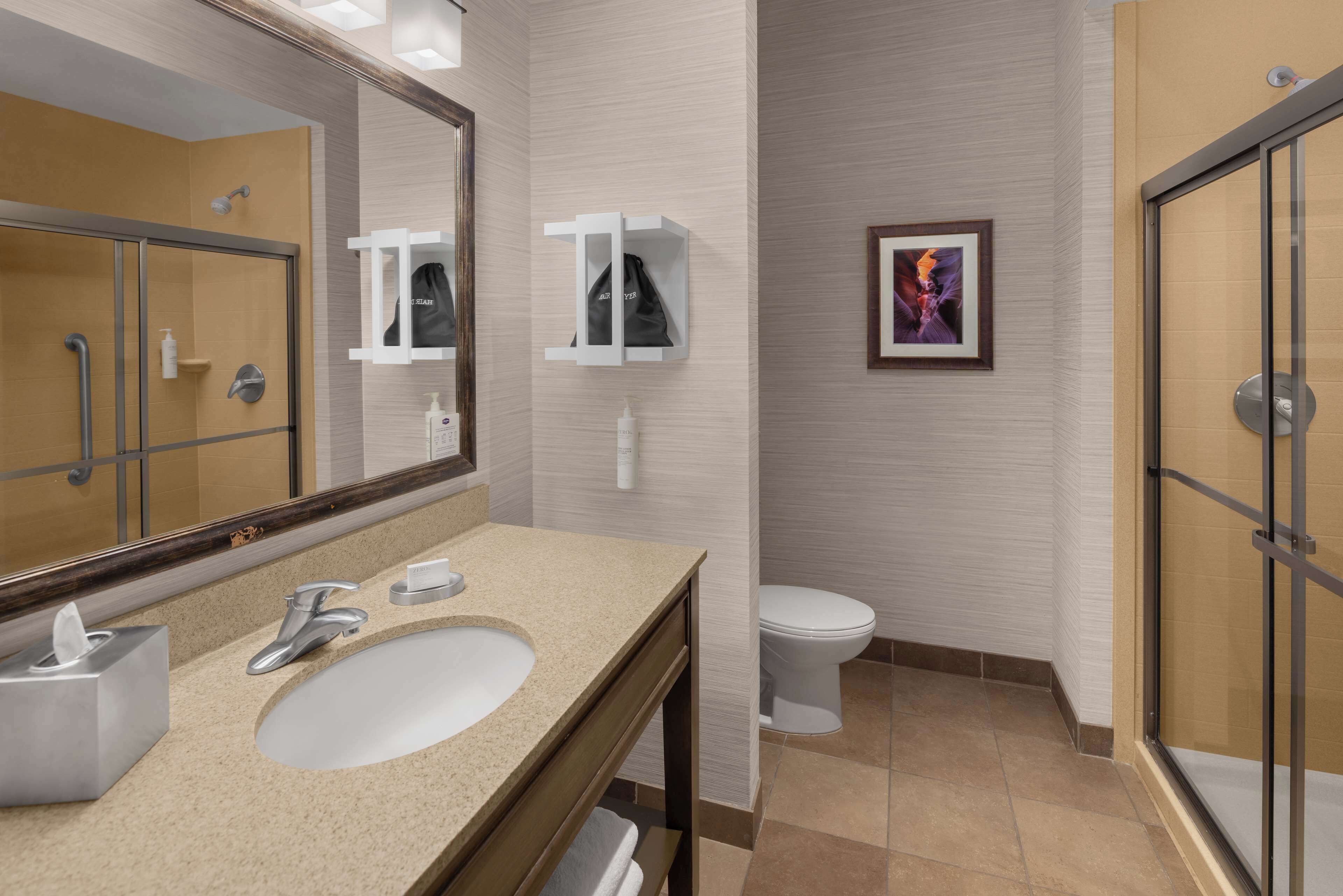 room, 1 king bed, non smoking | bathroom shower