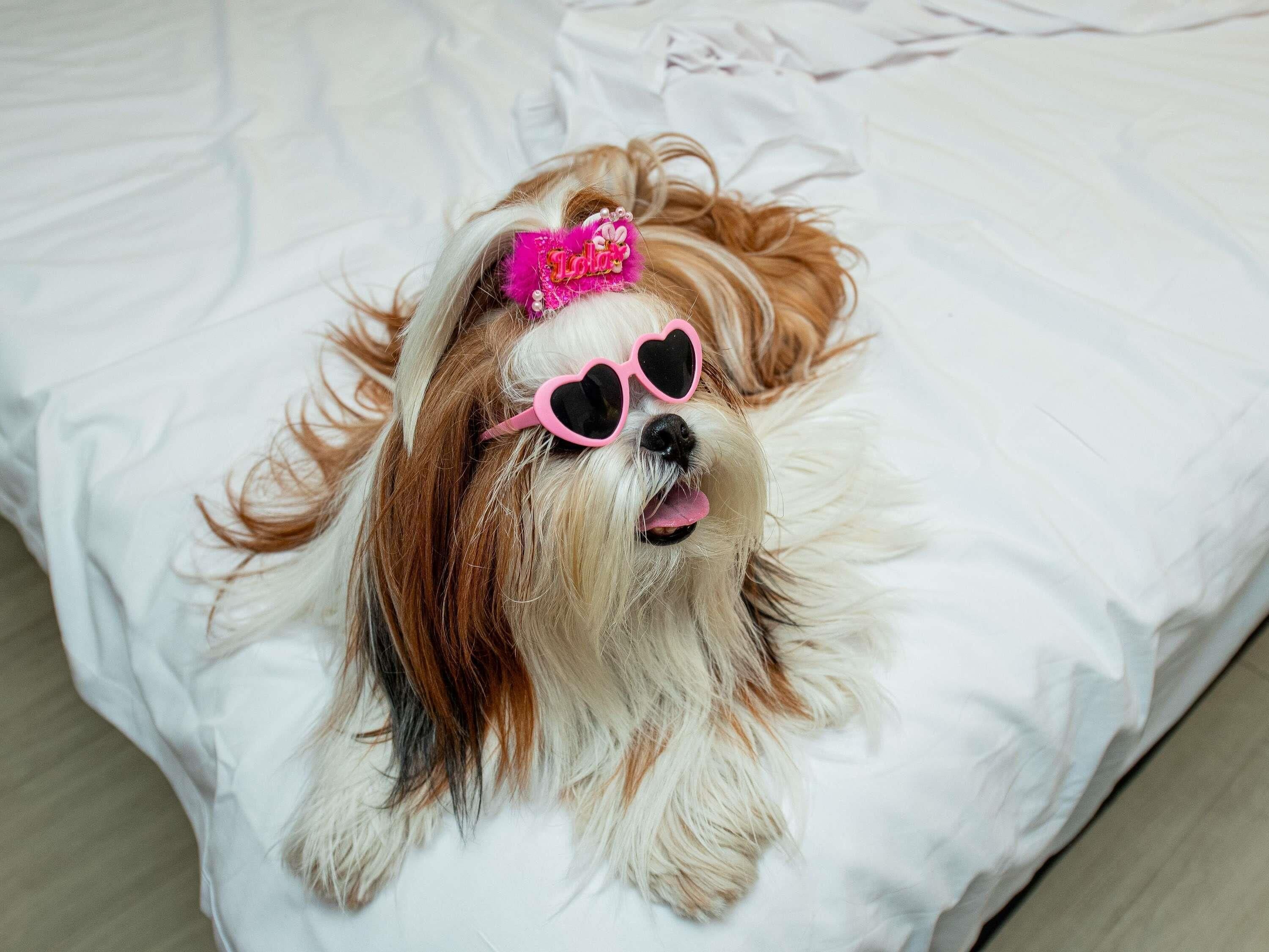 Foto - ibis Styles Goiânia Shopping Estação