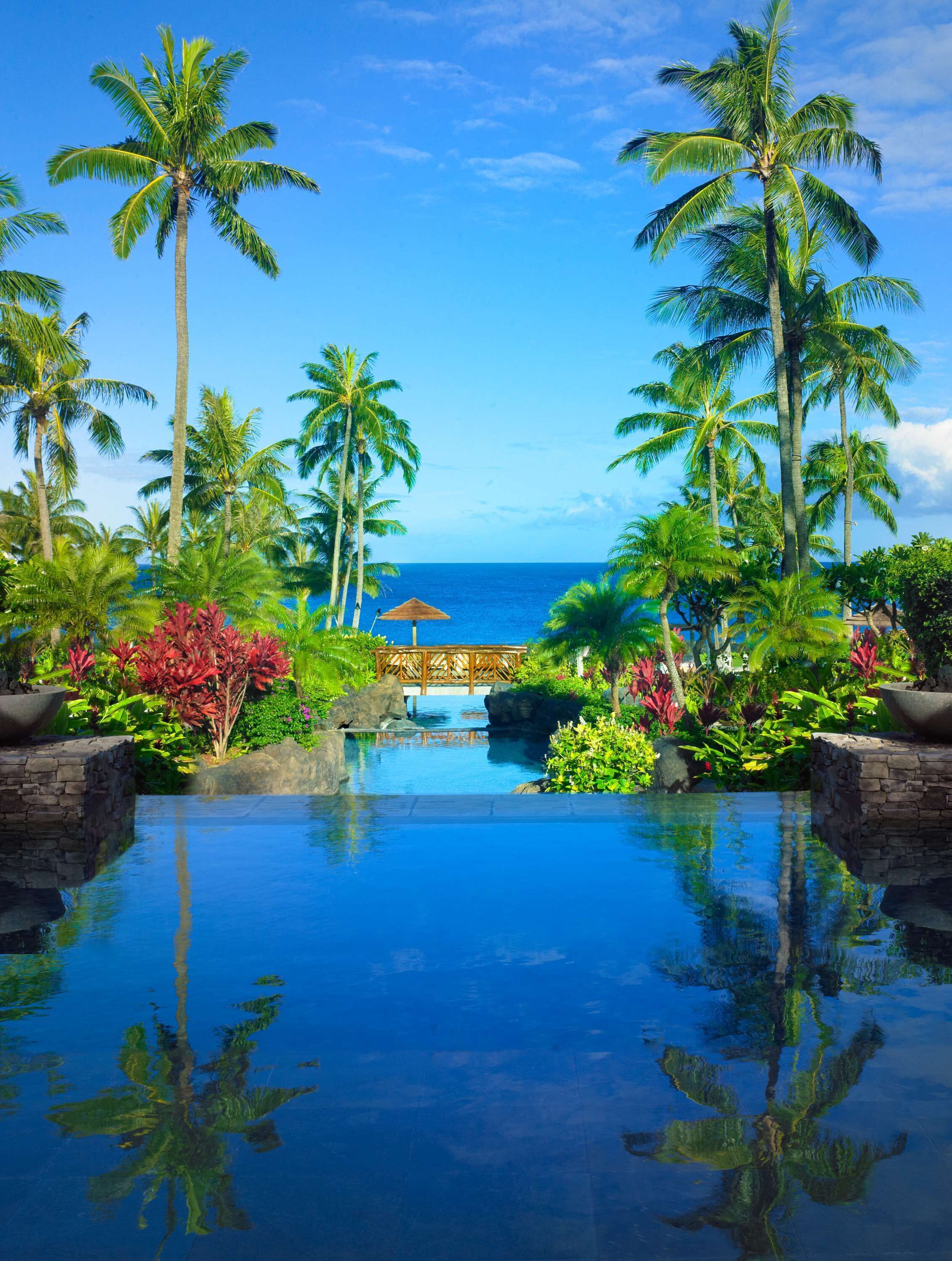 Kolam renang outdoor, dengan payung kolam renang dan kursi berjemur