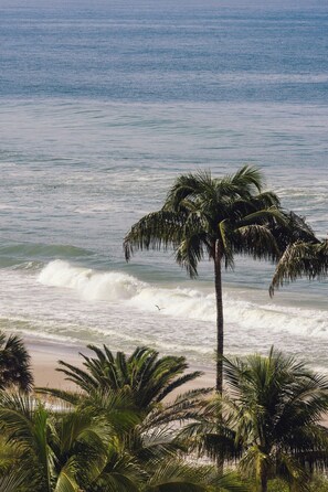 A beach with palm trees and waves.