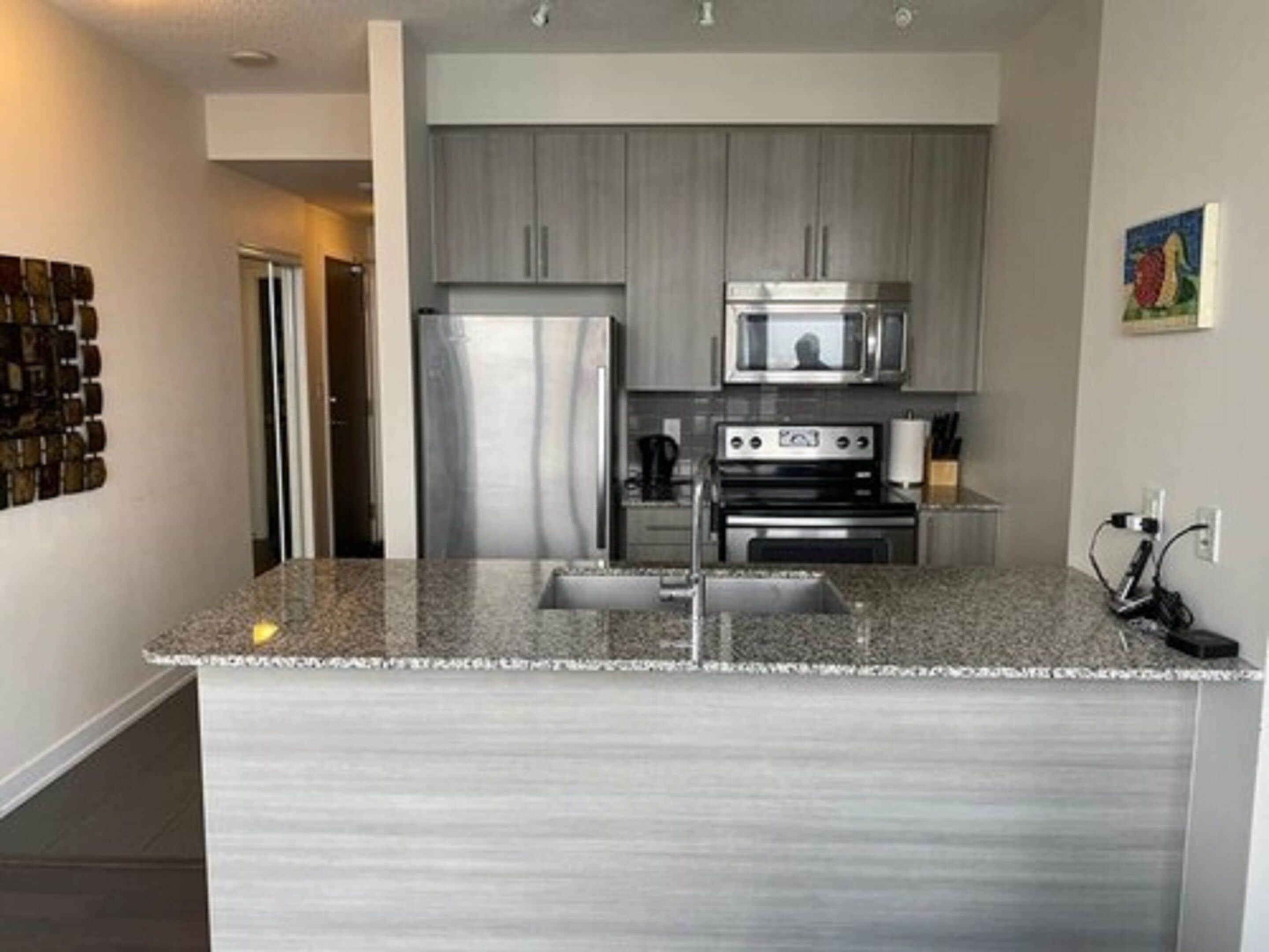 A modern kitchen with stainless steel appliances, granite countertops, and grey cabinetry.