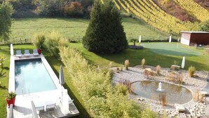 En pool med terrasse, en lille sø med springvand, og en vingård i baggrunden.