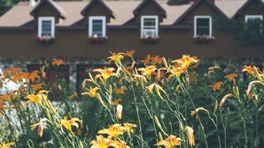 A building with multiple dormer windows and flower boxes on the roof. - The Old Saco Inn (Fryeburg)
