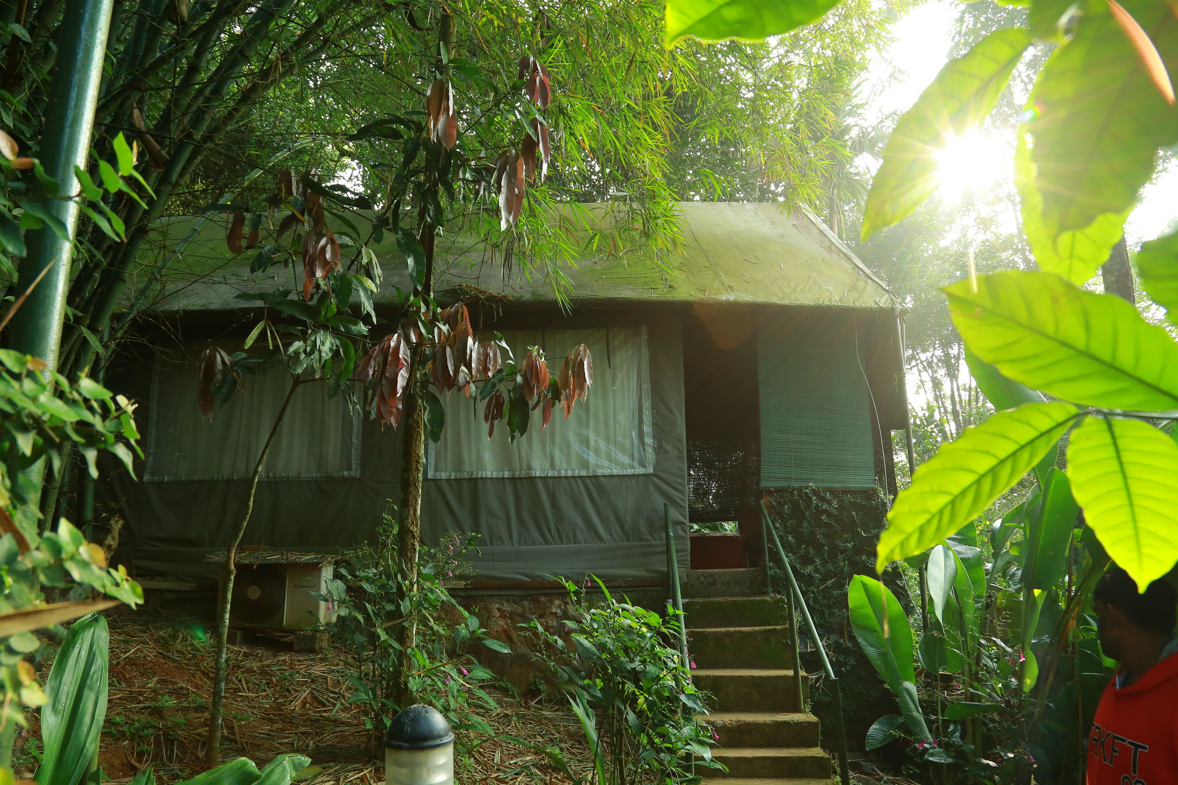 A small, rustic house surrounded by dense foliage, with a staircase leading to the entrance.