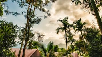 Vista des de l'allotjament