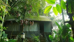A rustic, green-roofed cabin surrounded by dense foliage and a small staircase leading to the entrance. - Grassroots Wayanad, Valley-view Tents (Vythiri)