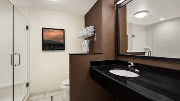 A modern bathroom with a glass shower enclosure, a white sink, and a large mirror.