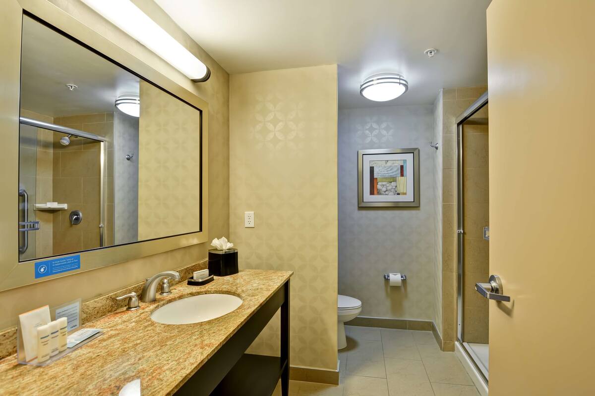 A bathroom with a granite countertop sink, a large mirror, and a shower area.