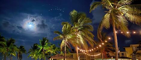 A nighttime resort with palm trees, string lights, and a building with outdoor seating.