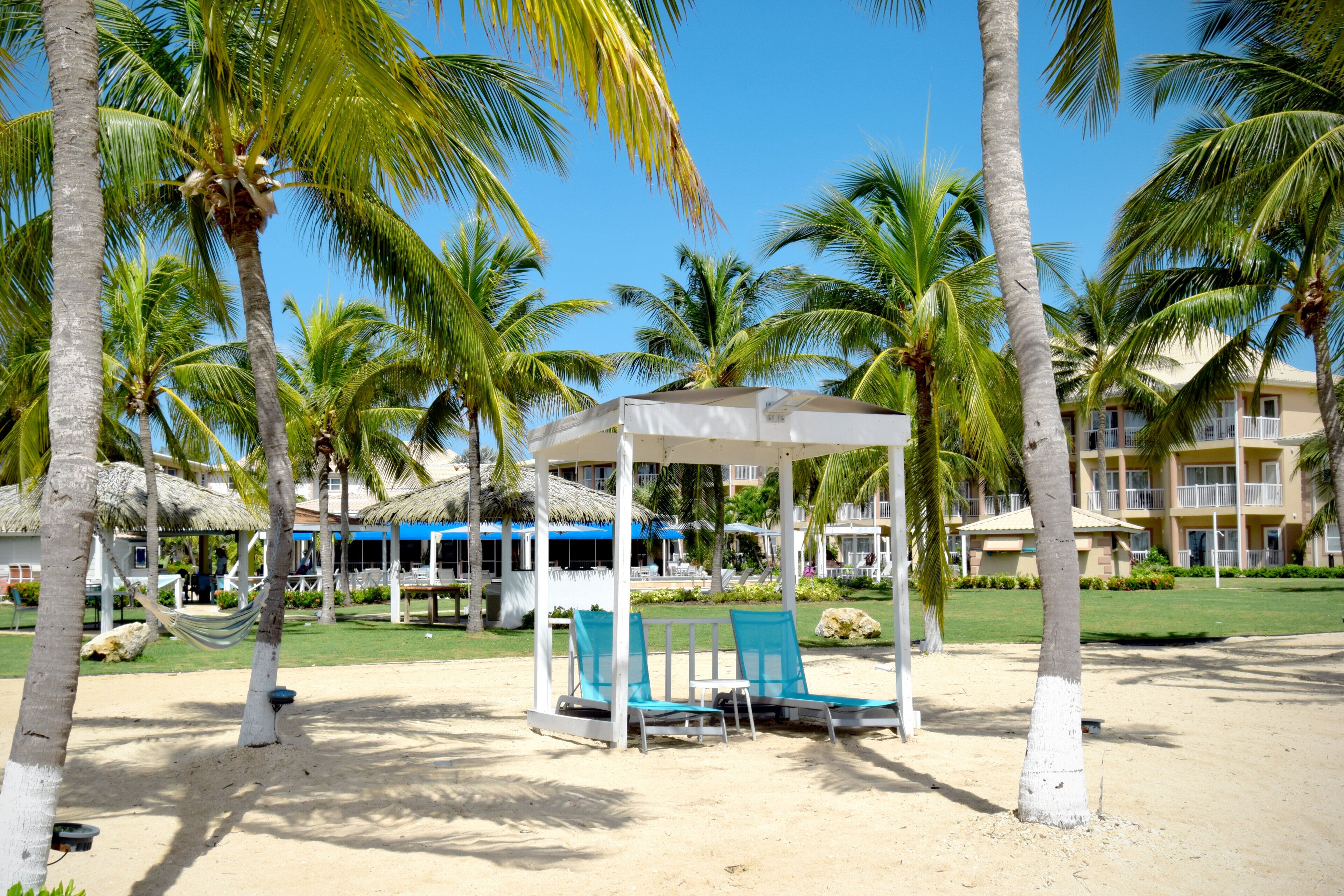 A beach area with palm trees, a covered seating area, and a building with balconies.