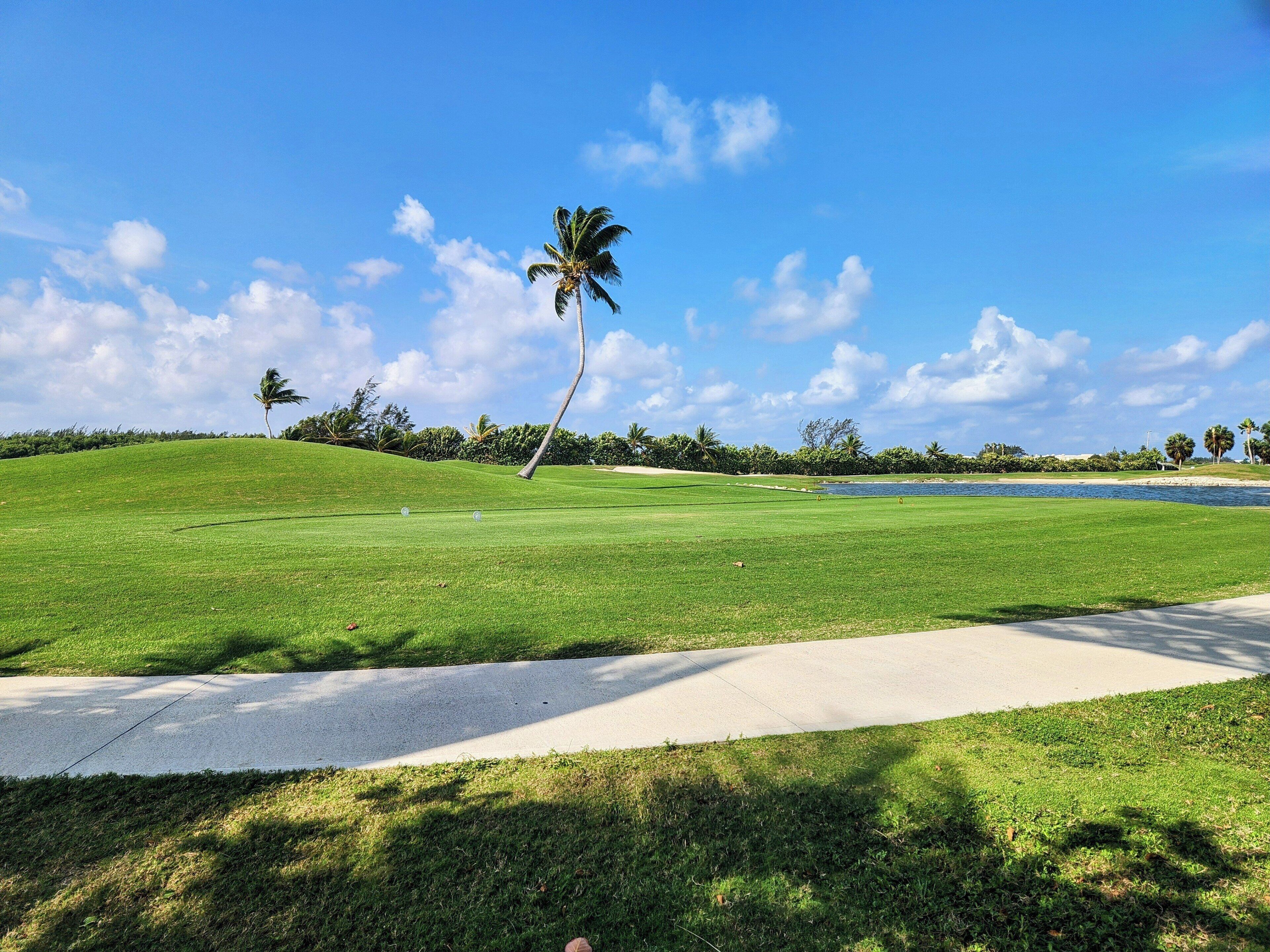 A golf course with a clear sky, palm trees, and a water body in the background.