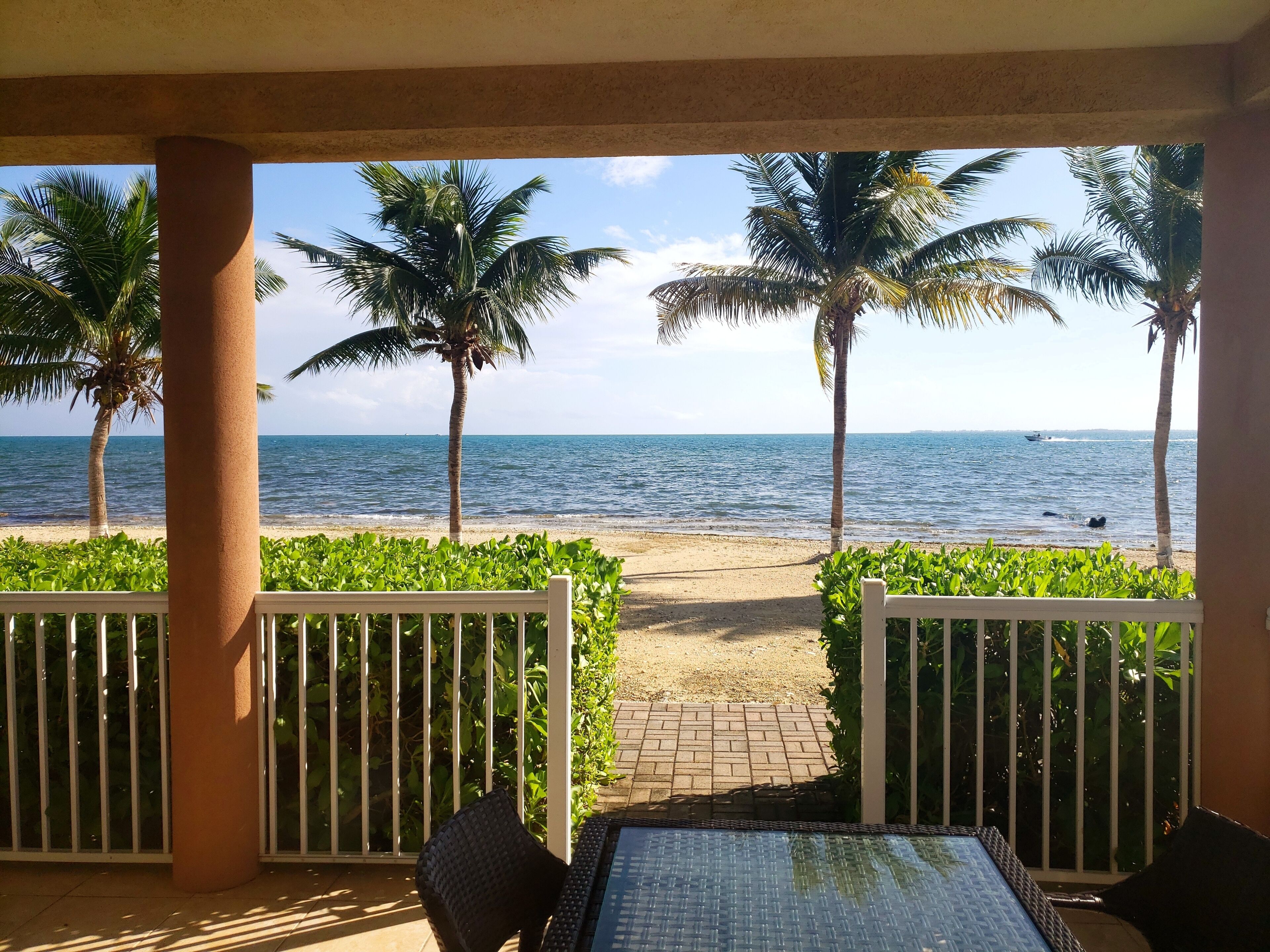 A covered patio with a view of the beach, palm trees, and a clear sky.
