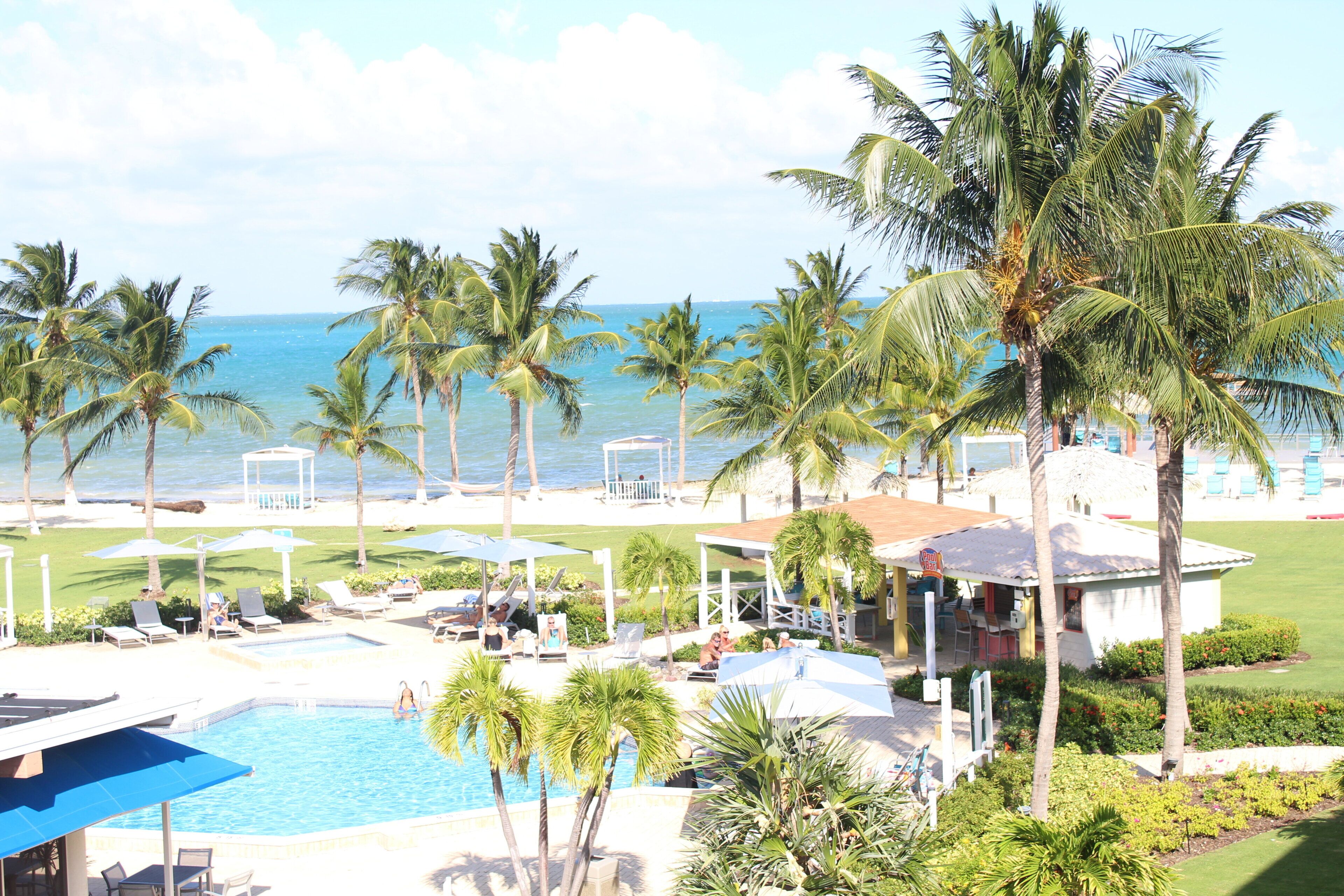 A resort with a pool, lounge chairs, palm trees, and a view of the ocean.