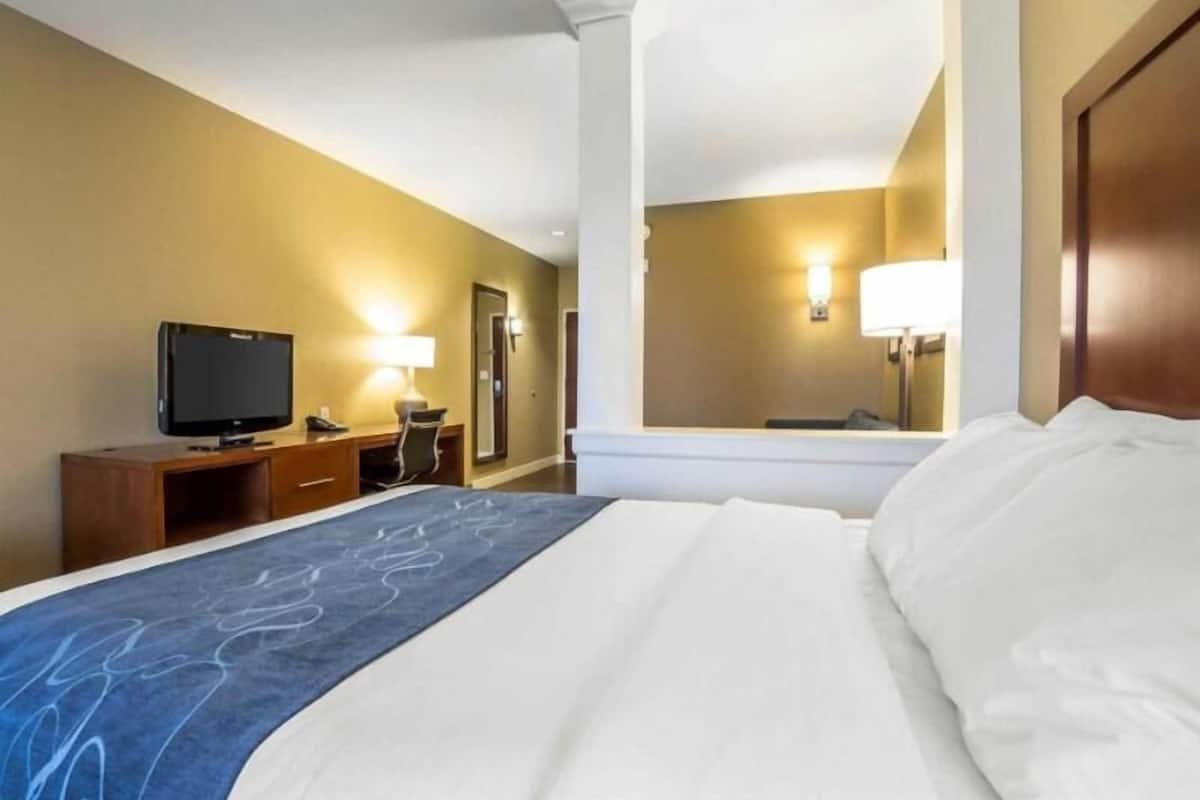 A hotel room with a bed, a television, a desk, and a mirror.