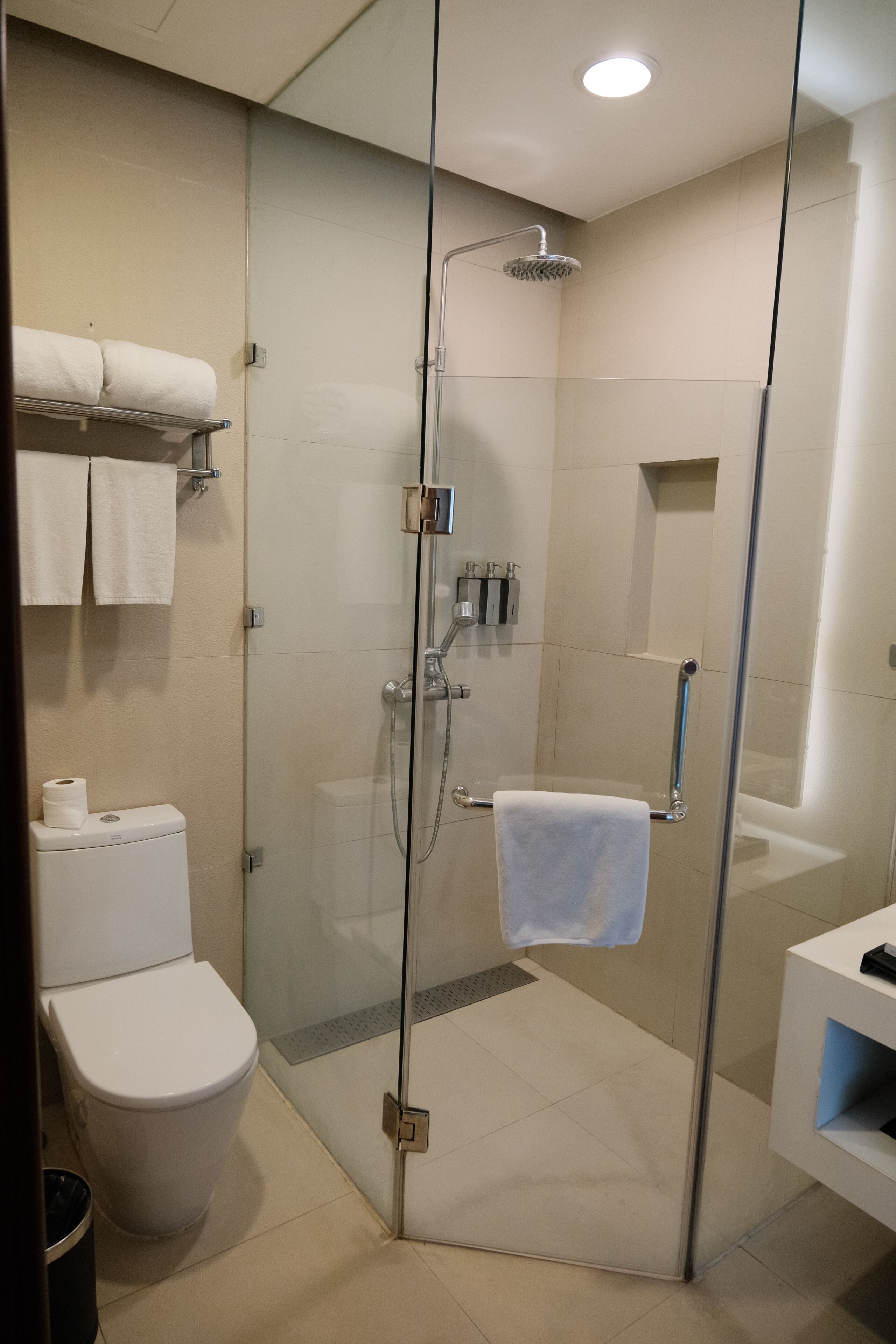 A modern bathroom with a glass-enclosed shower, a toilet, and a white sink.