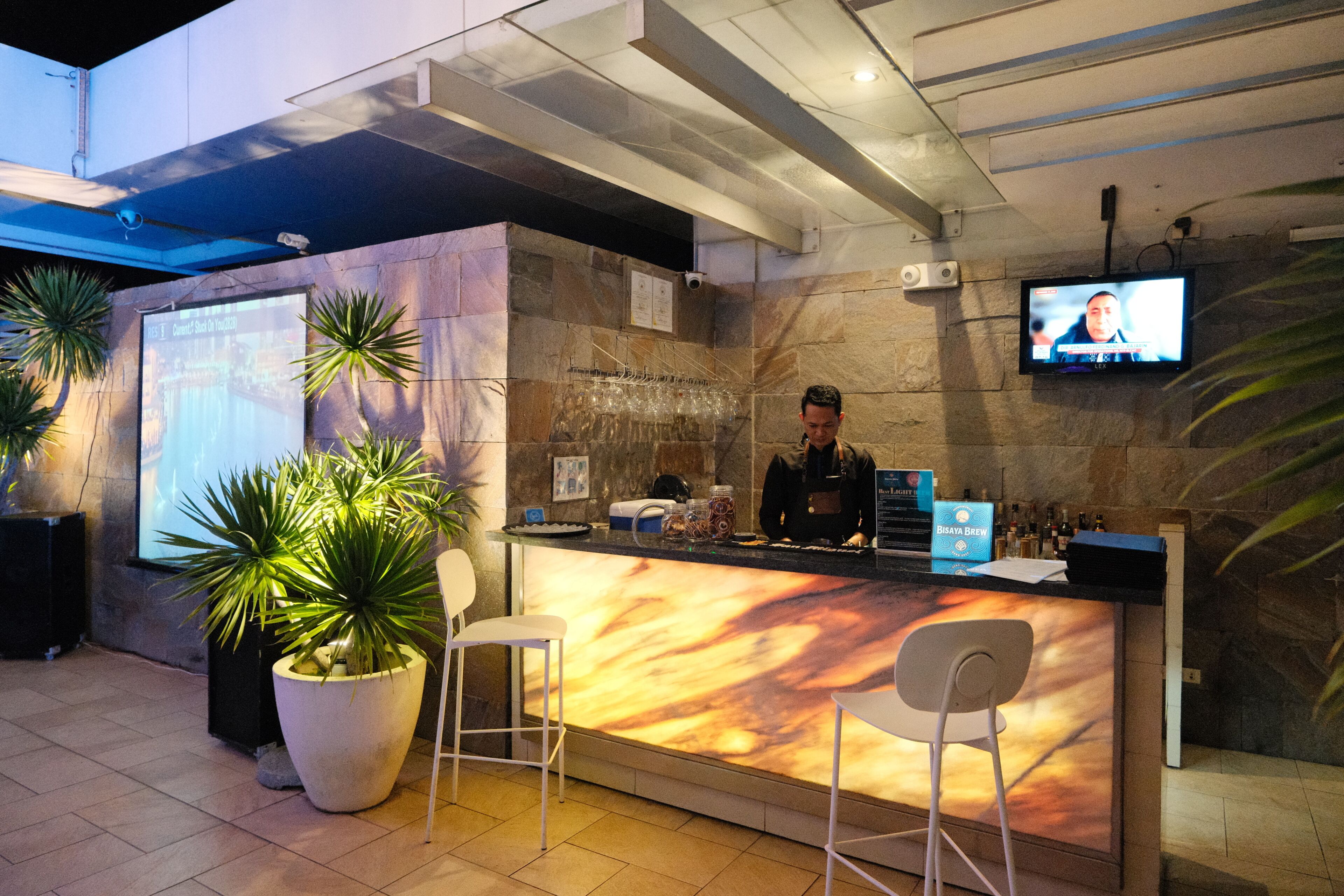A reception area with a counter, two bar stools, a television mounted on the wall, and potted plants.