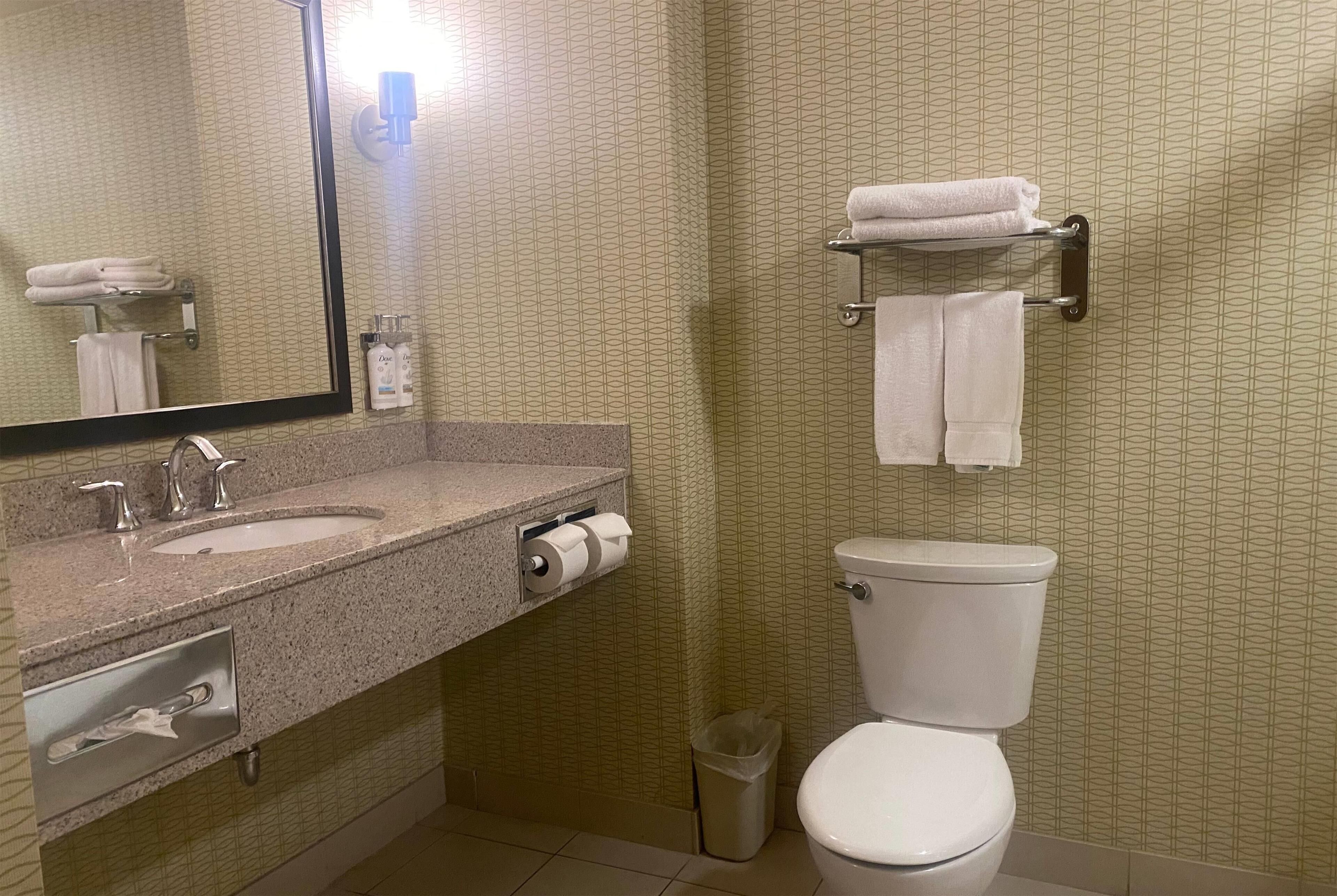 A bathroom with a double sink, a toilet, a mirror, and a towel rack.