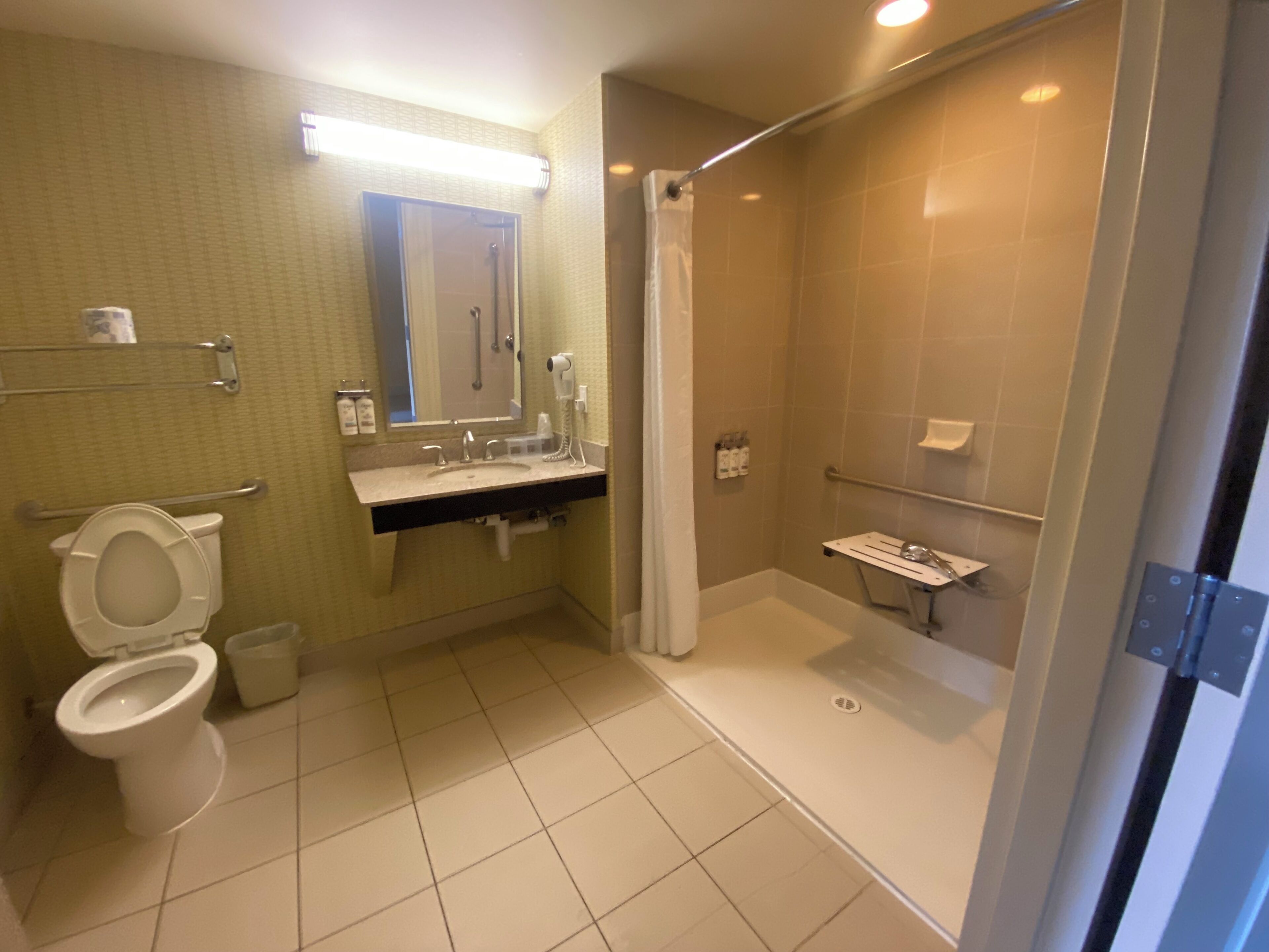 room, 1 king bed, accessible, non smoking (mobility/hearing, roll-in shower) | bathroom | free toiletries, hair dryer, towels, soap