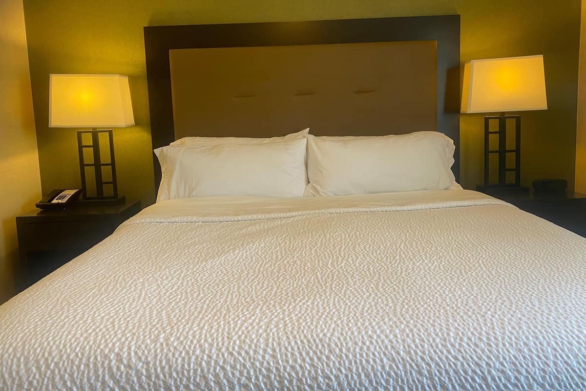 客房內保險箱、書桌、熨斗/熨衣板、免費無線上網