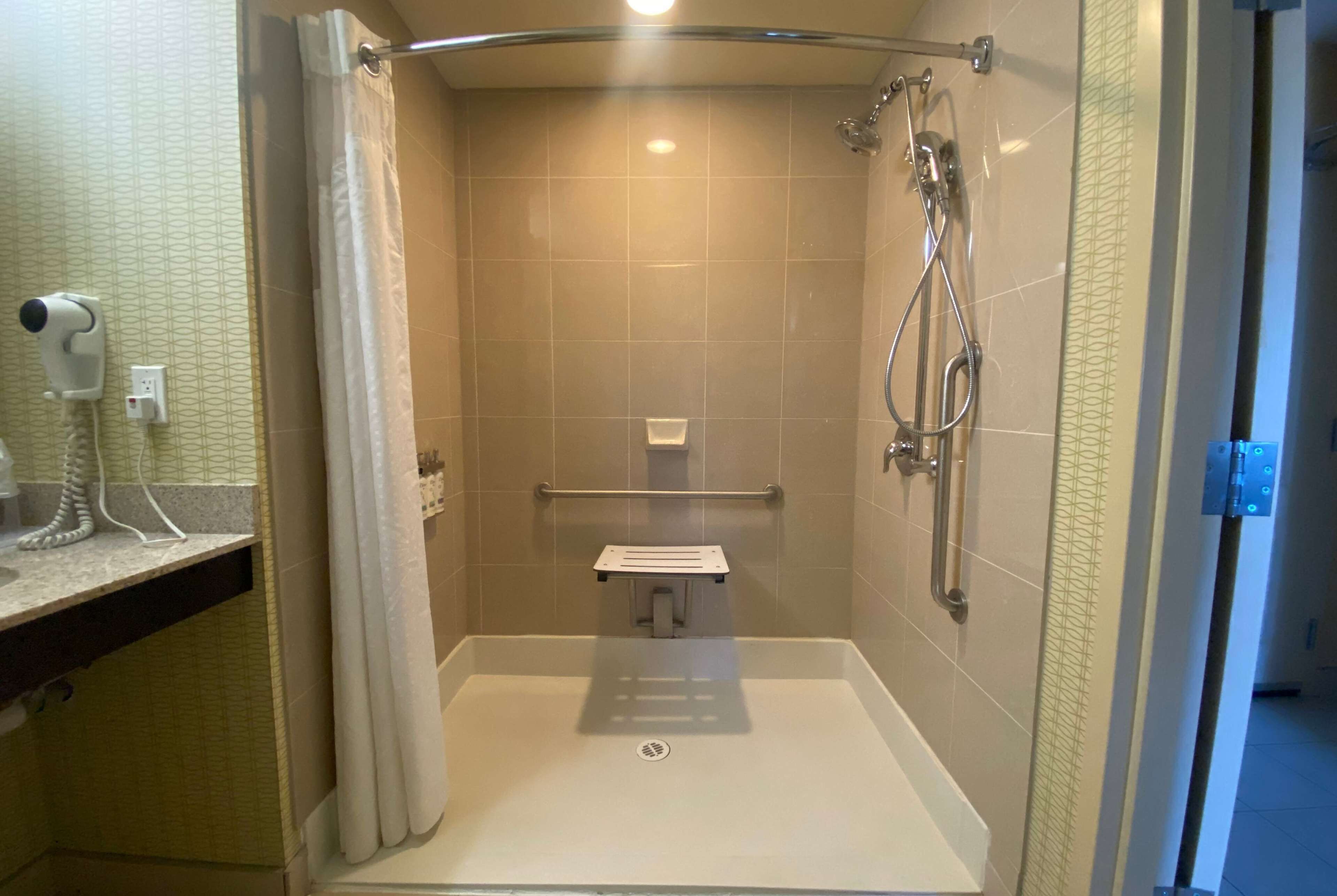 room, 1 king bed, accessible, non smoking (mobility/hearing, roll-in shower) | accessible bathroom