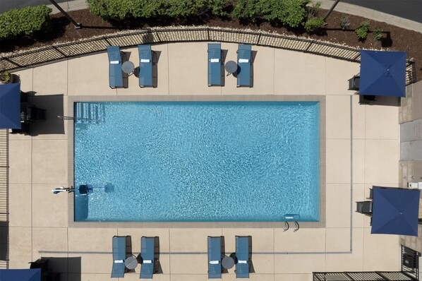 Vista aérea de una piscina rectangular con sillones de descanso y sombrillas alrededor.