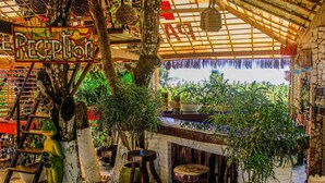 A reception area with a sign, wooden stools, potted plants, and a thatched roof. - Pousada Paradiso Tropical (Marechal Deodoro)