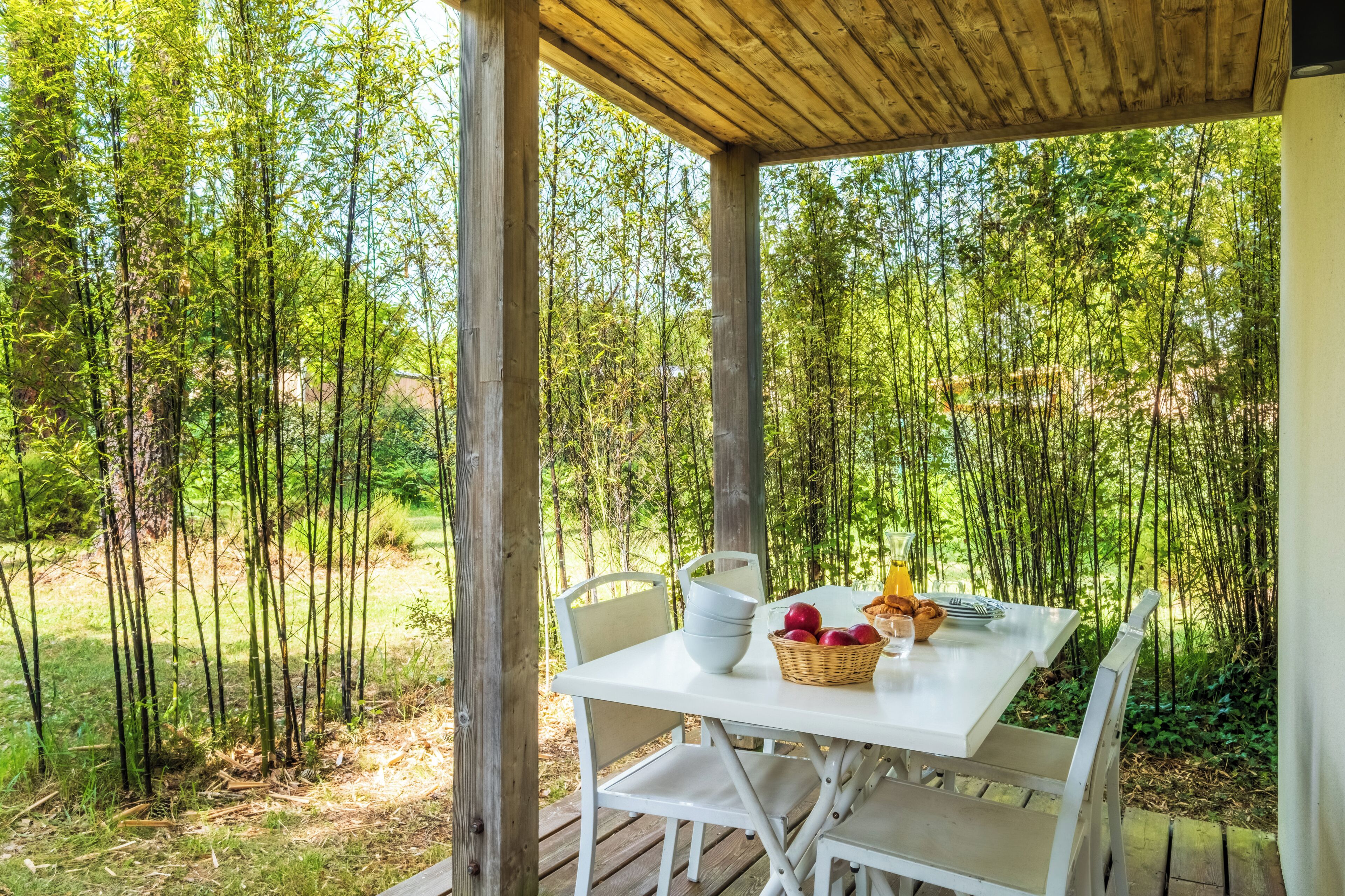 An outdoor dining area with a table and chairs, surrounded by bamboo trees.