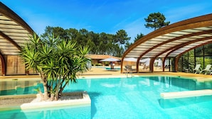 A swimming pool with a clear blue water, surrounded by lounge chairs and a tropical plant. - Résidence Pierre & Vacances Les Cottages du Lac (Parentis-en-Born)