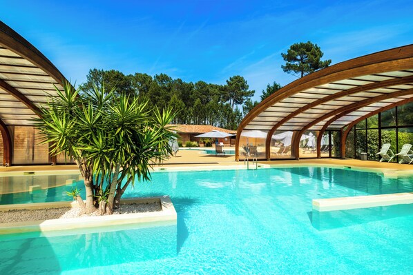 Una piscina con agua cristalina azul, rodeada de sillas de descanso y una planta tropical.