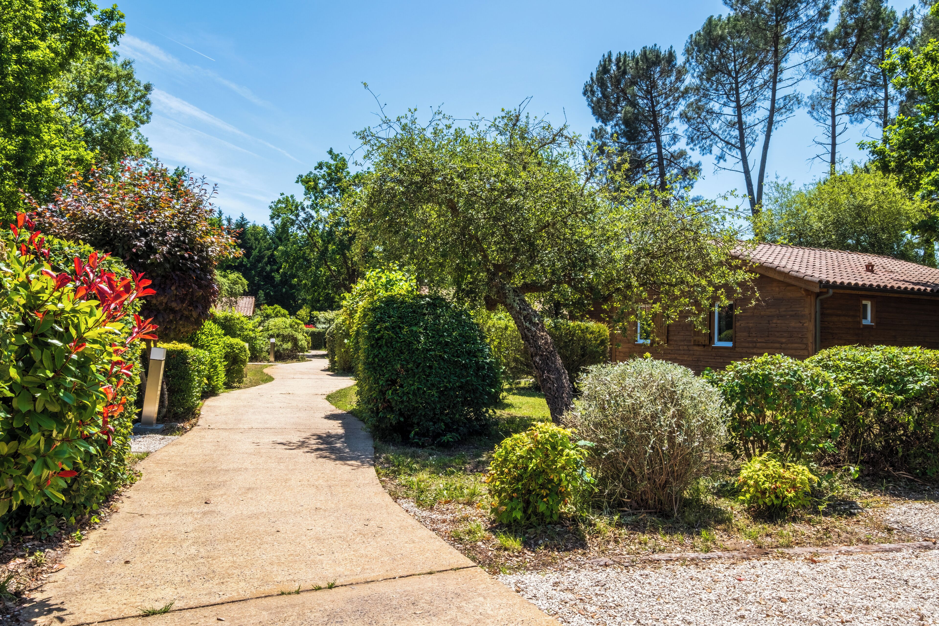 A pathway leading to a wooden cabin with a tiled roof, surrounded by well-maintained greenery and trees.