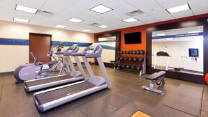 A gym with treadmills, a bench, and a wall with dumbbells.