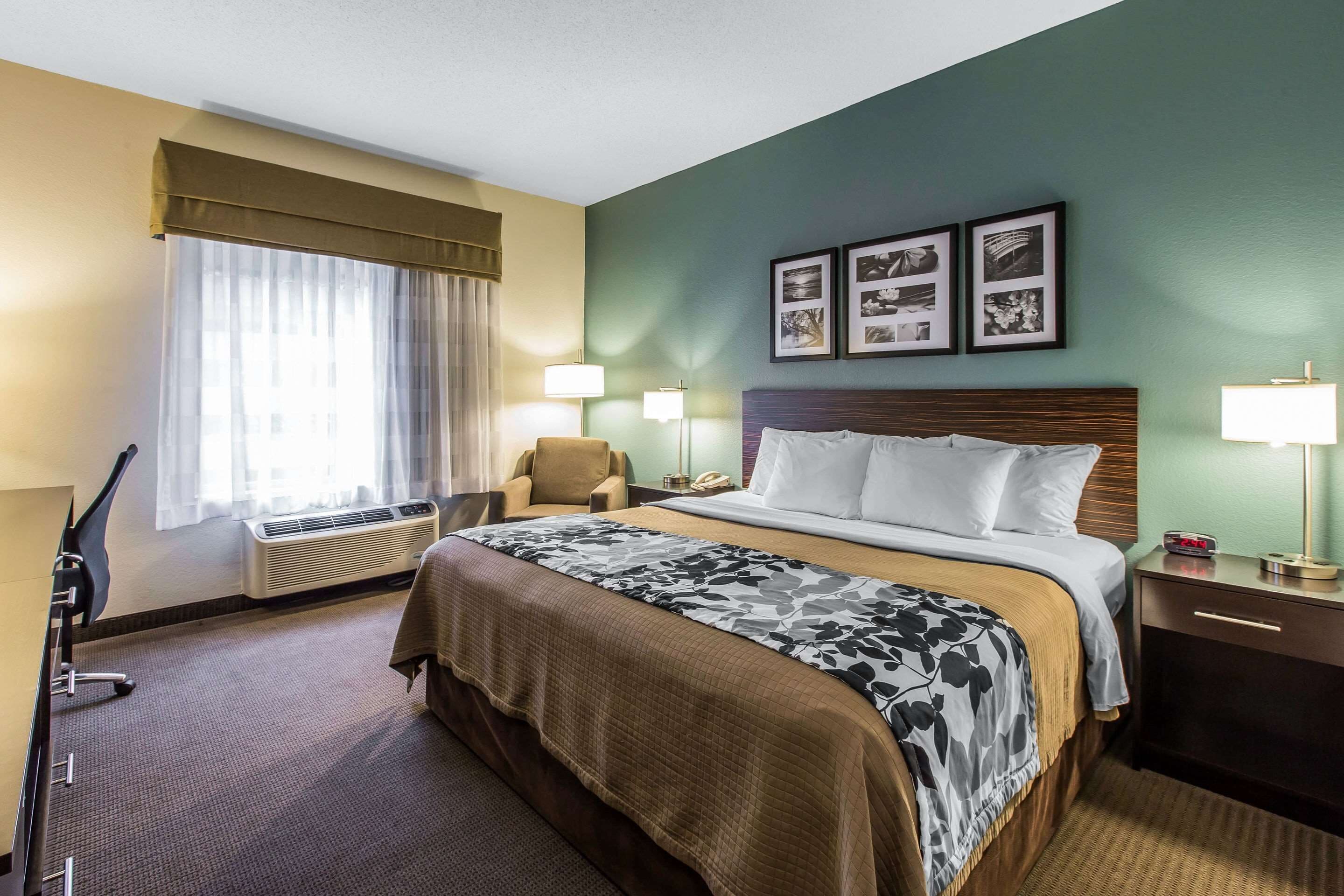 A hotel room with a bed, a desk, a chair, a nightstand, and a lamp.