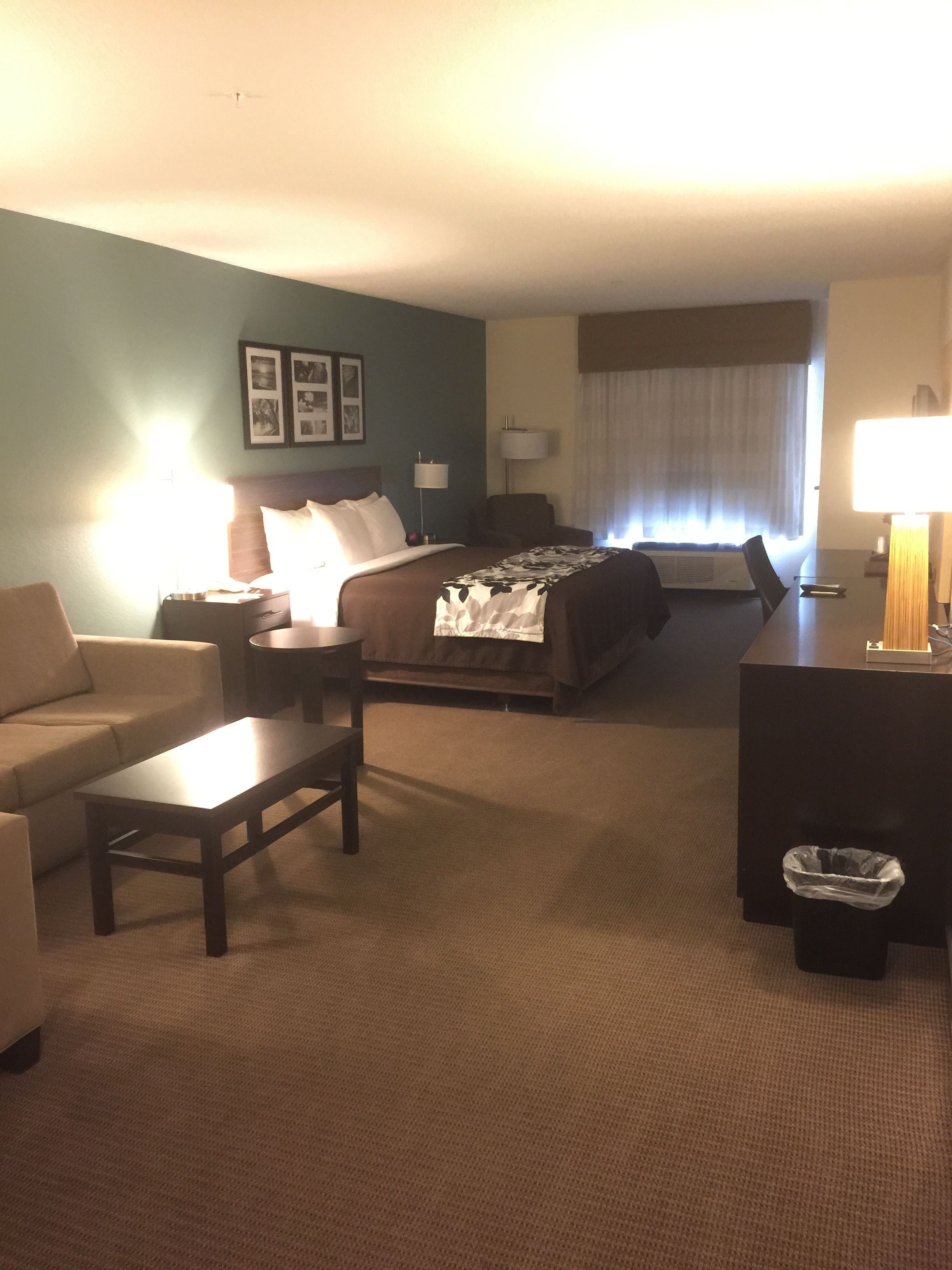 A hotel room with a bed, a sofa, a desk, a lamp, and a trash bin.