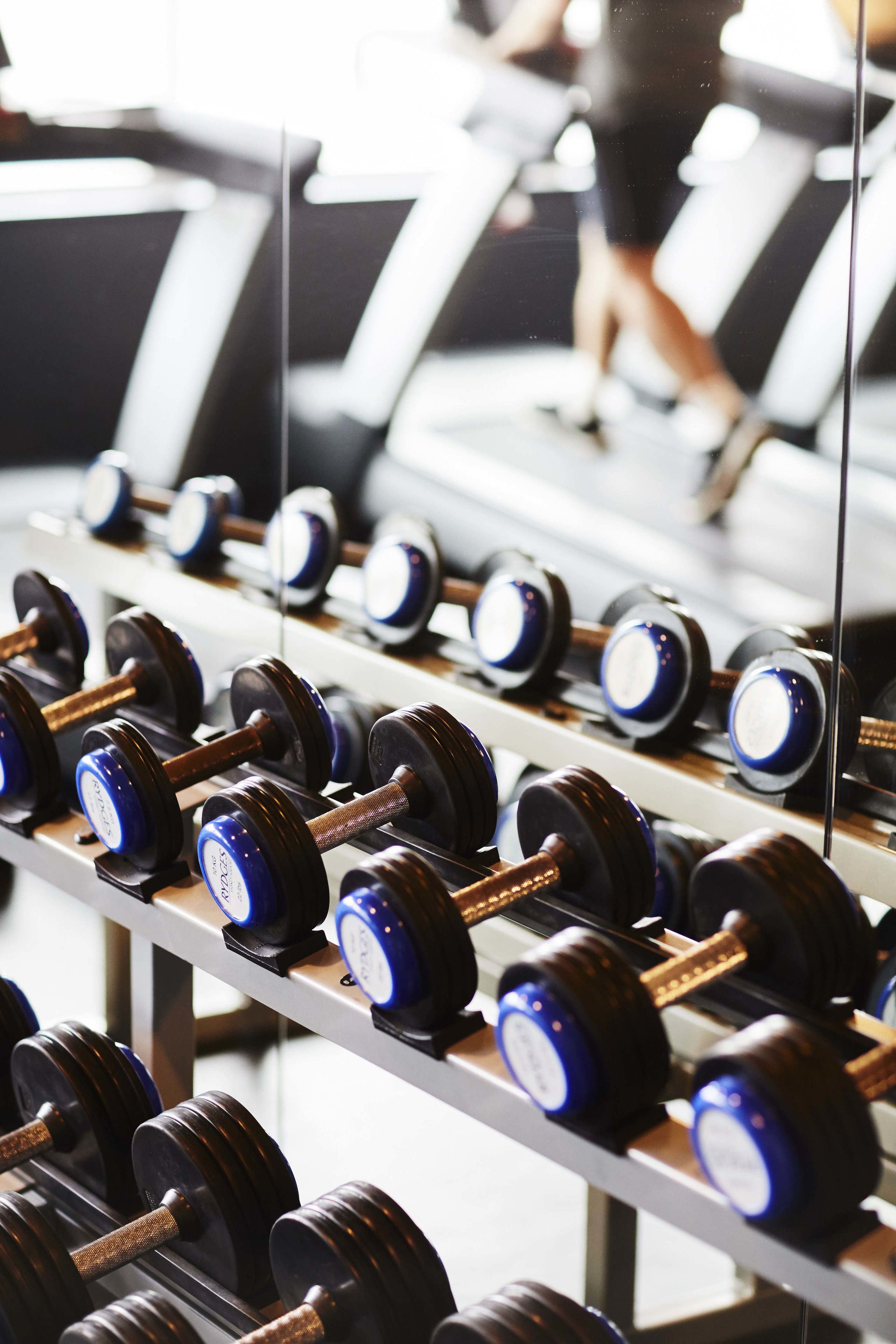 Eine Reihe von Hanteln auf einem Gestell im Fitnessstudio.