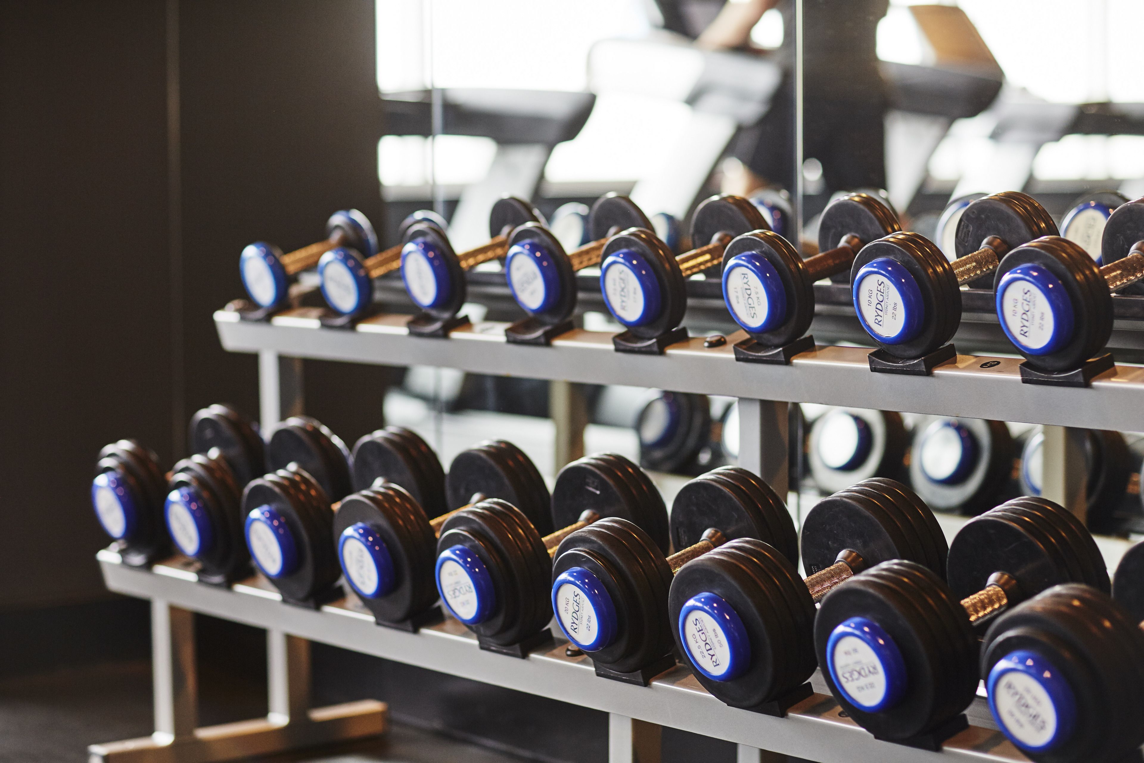 Un estante con mancuernas en un gimnasio.