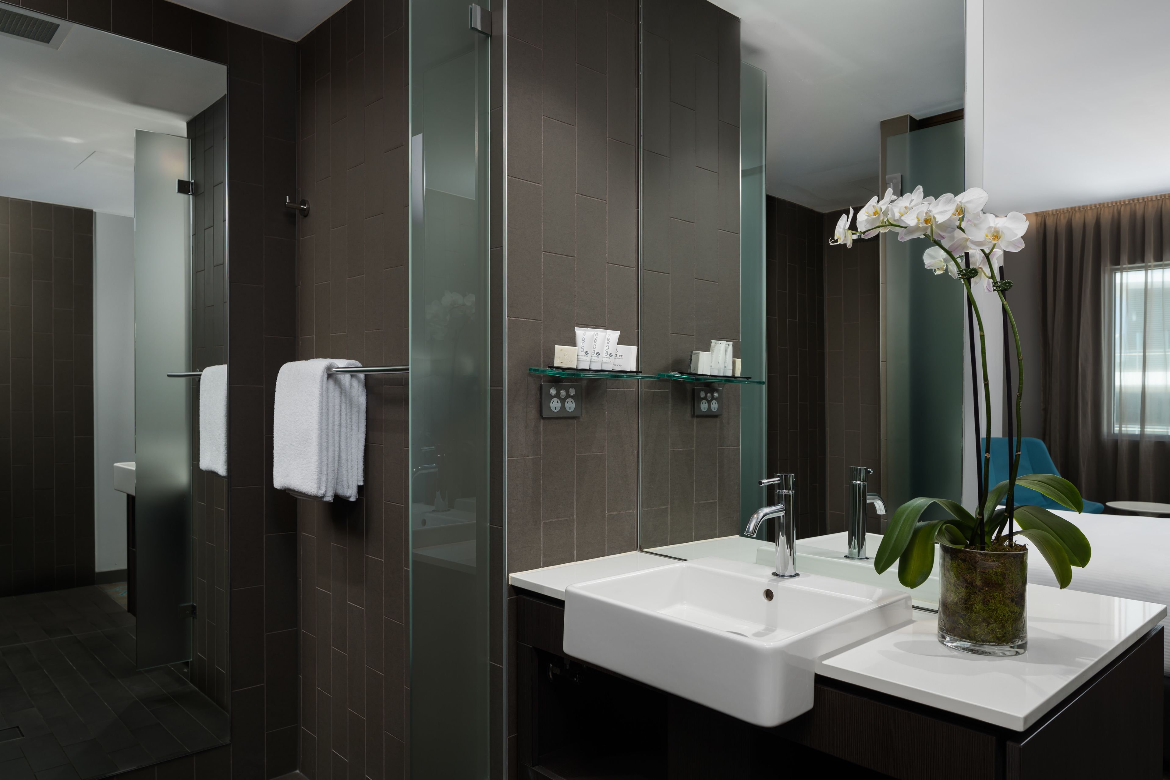 A modern bathroom with two sinks, a glass shower enclosure, and a potted orchid.