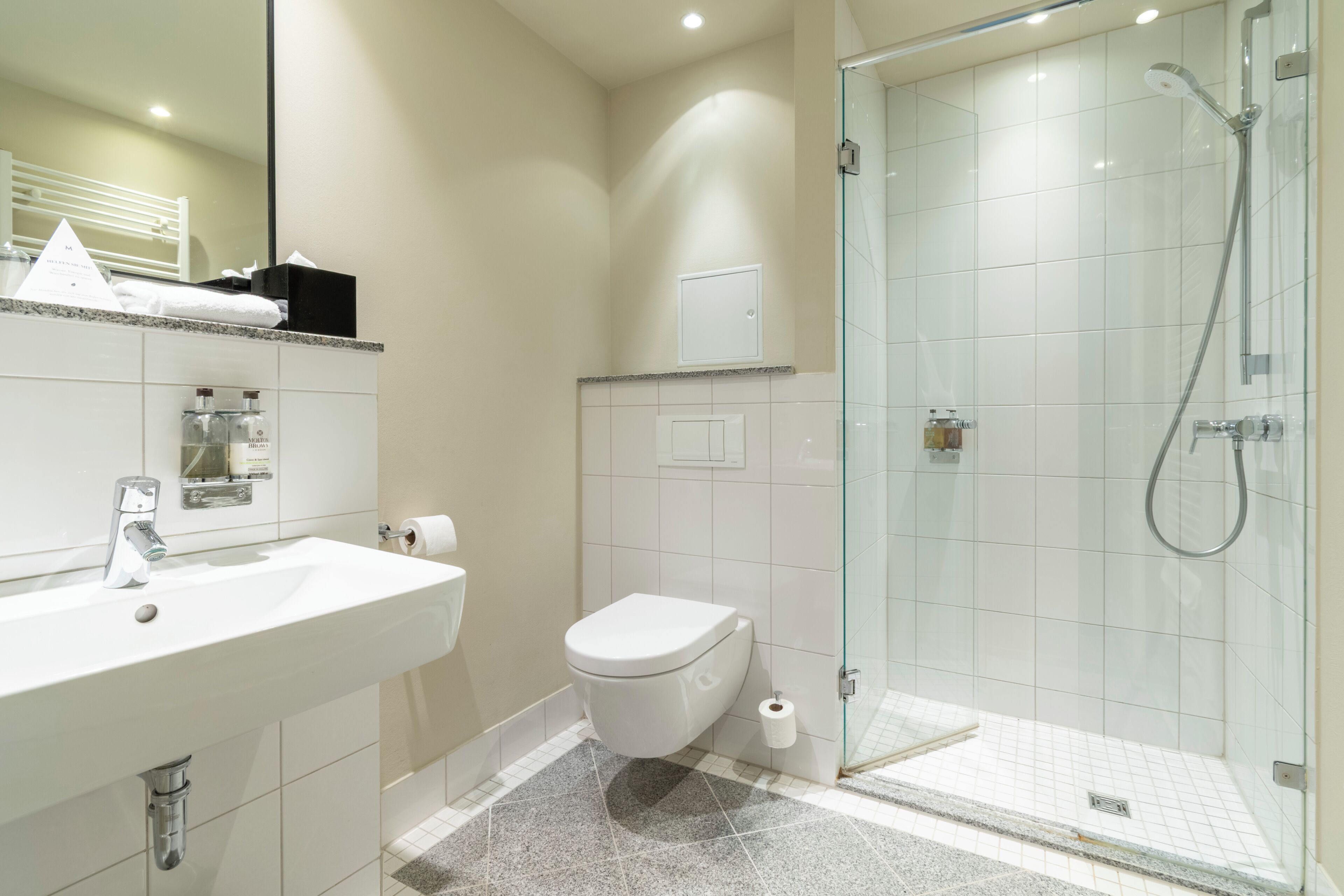 A modern bathroom with a glass shower enclosure, a white sink, and a toilet.